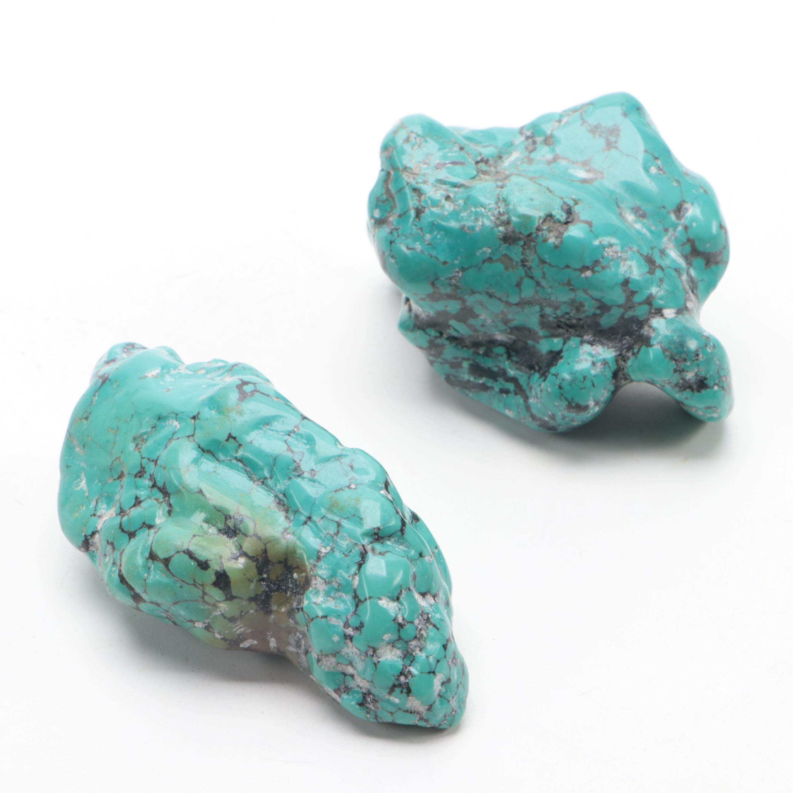 Tumbled Turquoise Stone Specimens