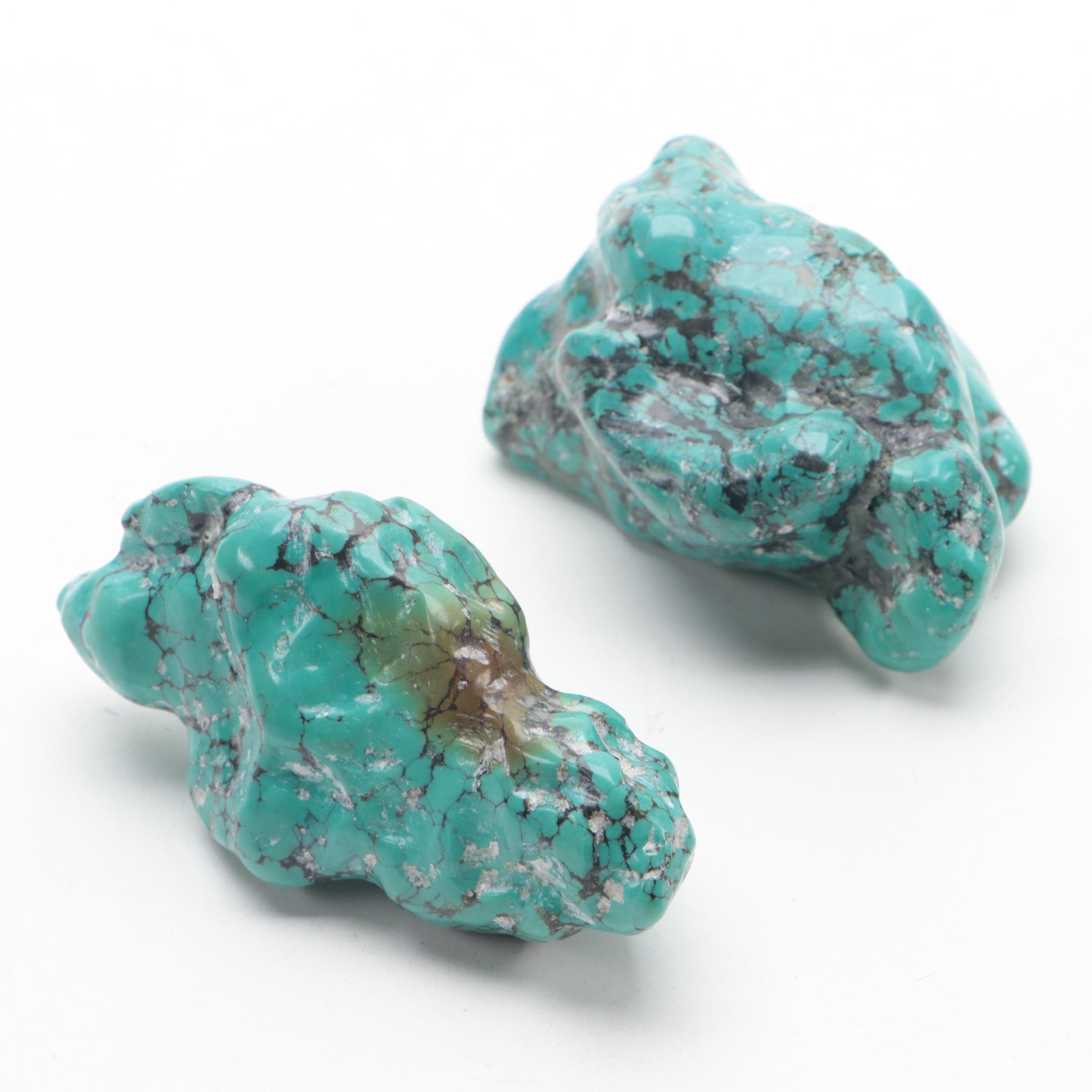 Tumbled Turquoise Stone Specimens