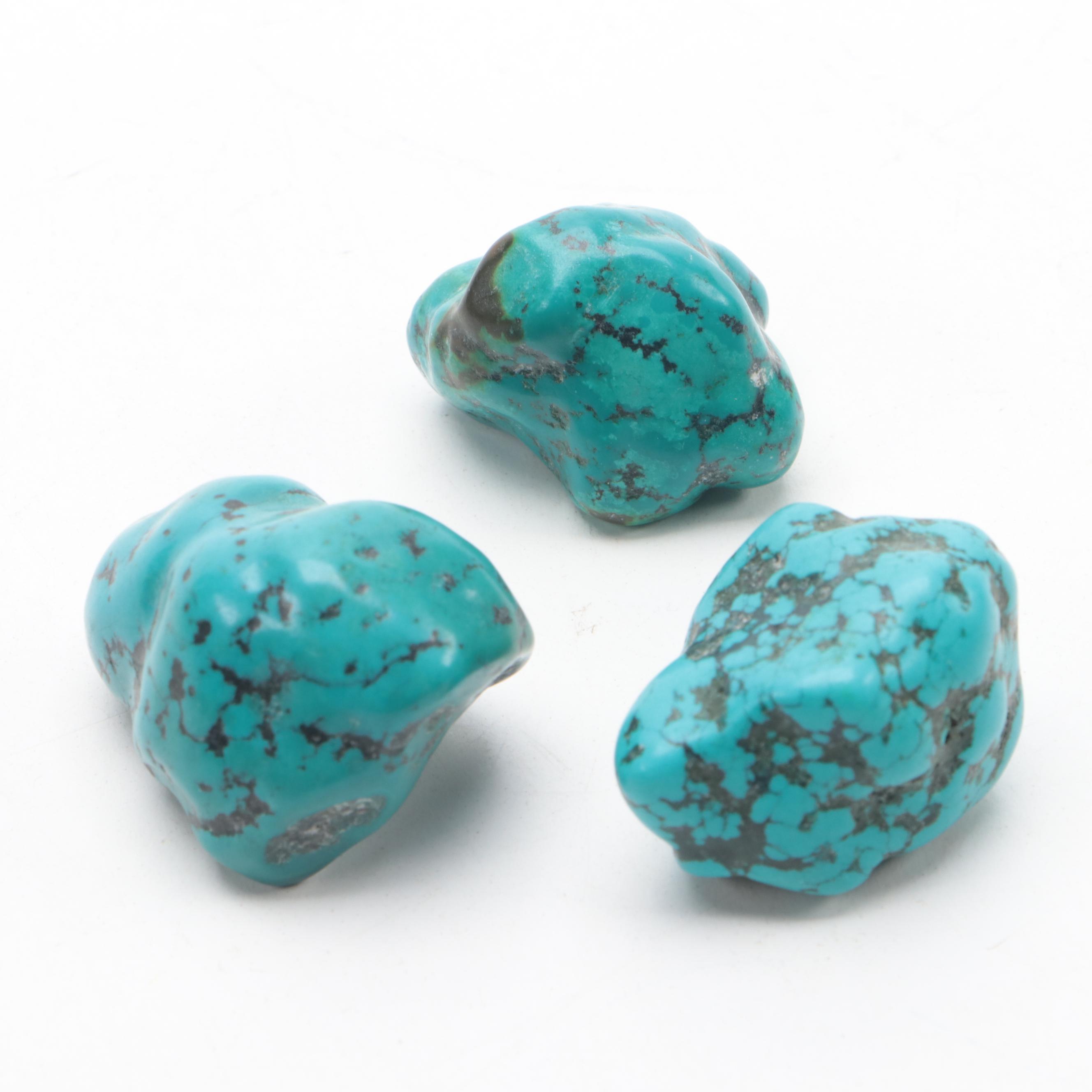 Tumbled Turquoise Stone Specimens