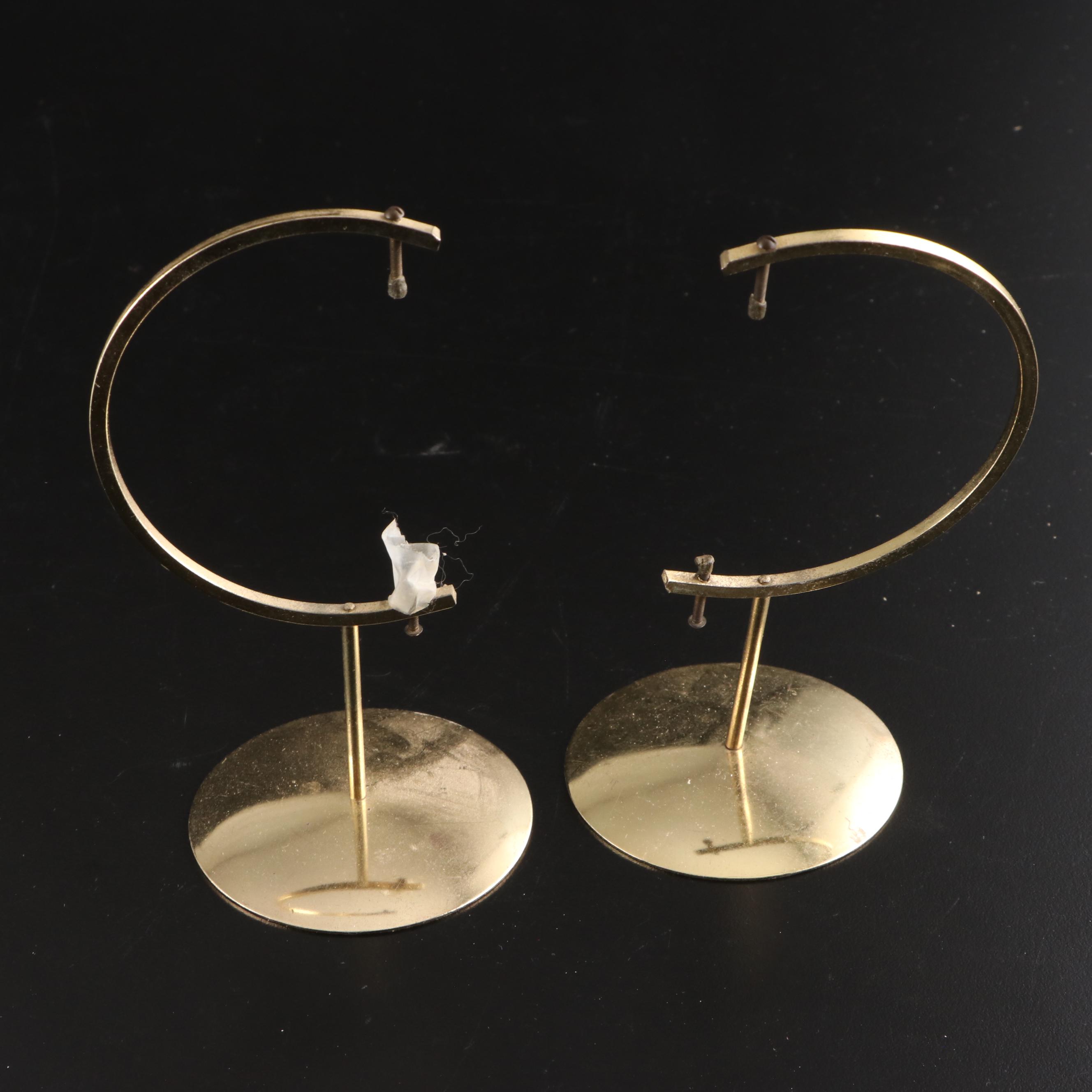 Queen Conch, King Helmet Conch, Coral, and More