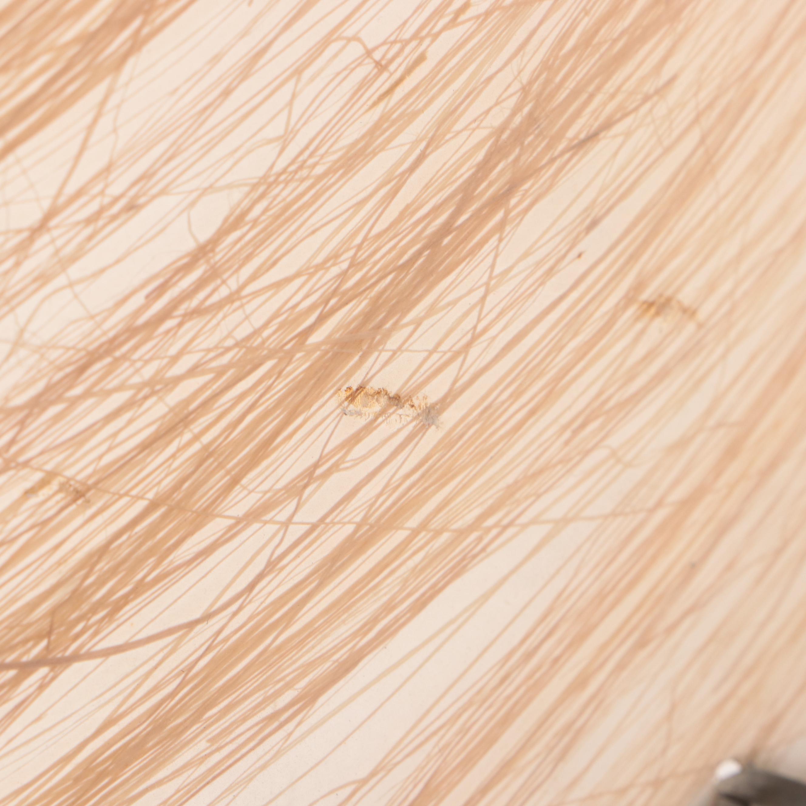 Fiberglass Whip Stitch and Diffuser Mid-Century Lampshades