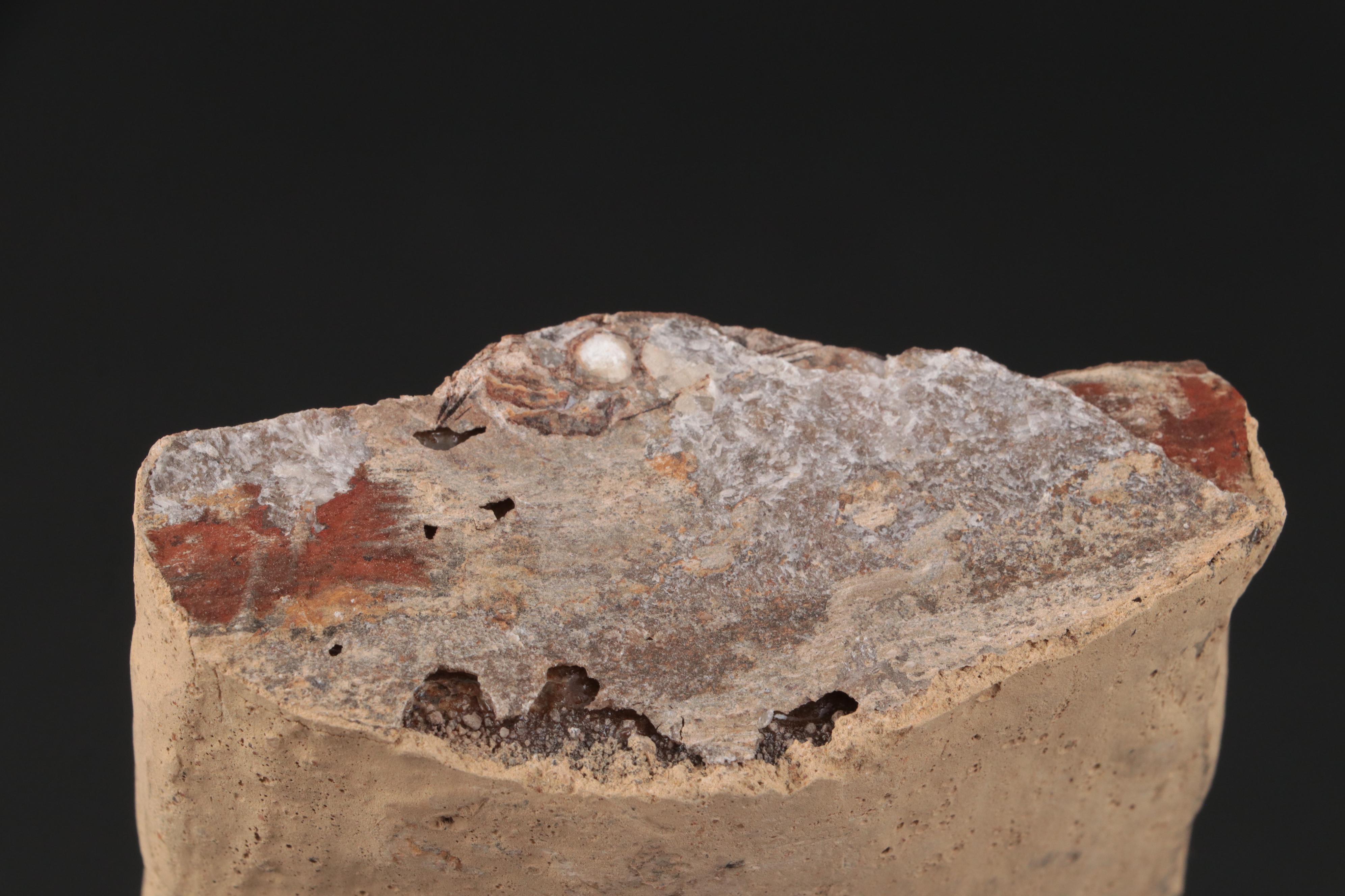 Limestone Fossil Fish Specimen