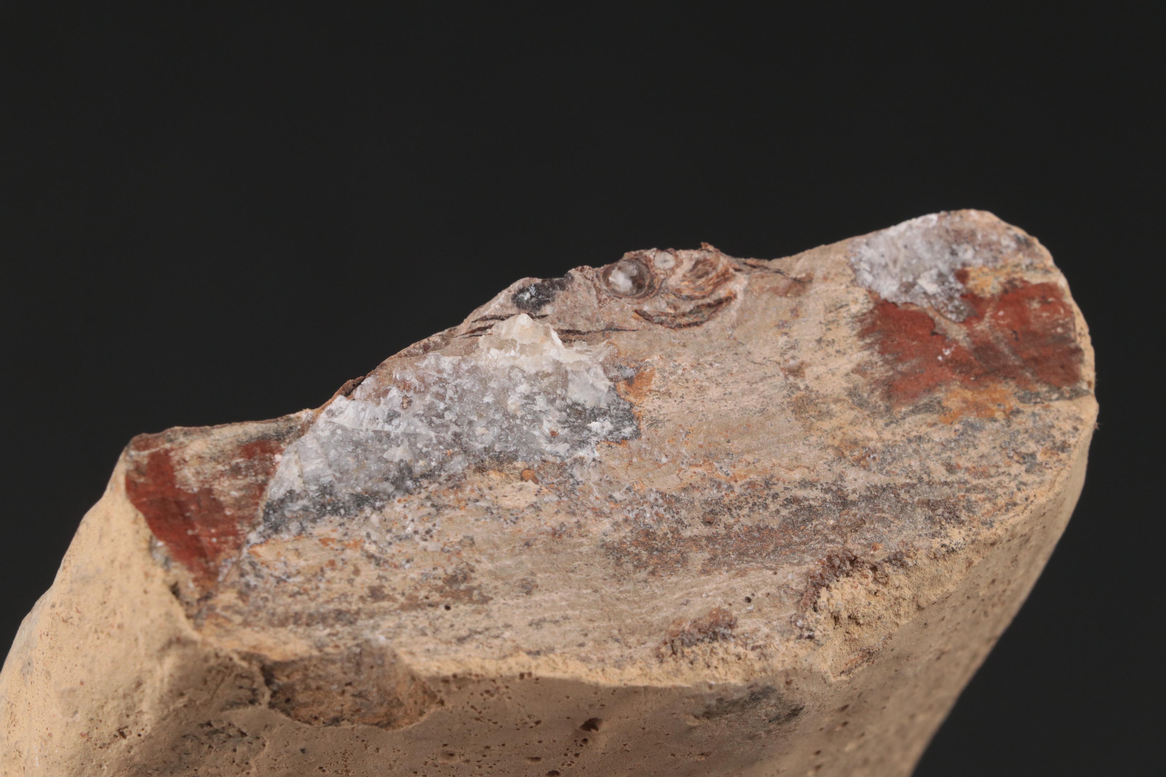 Limestone Fossil Fish Specimen