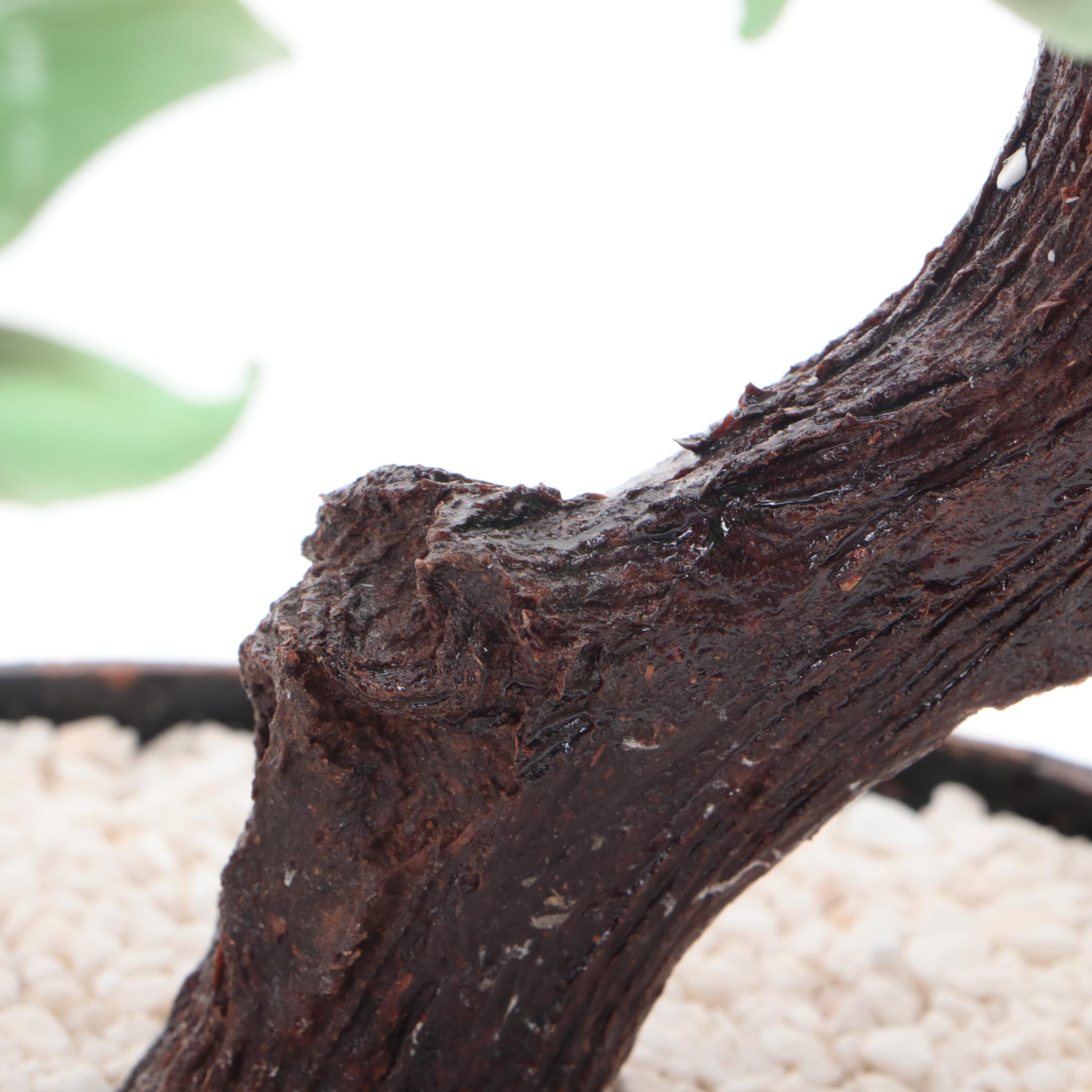 Chinese Agate Glass Flowering Bonsai Tree