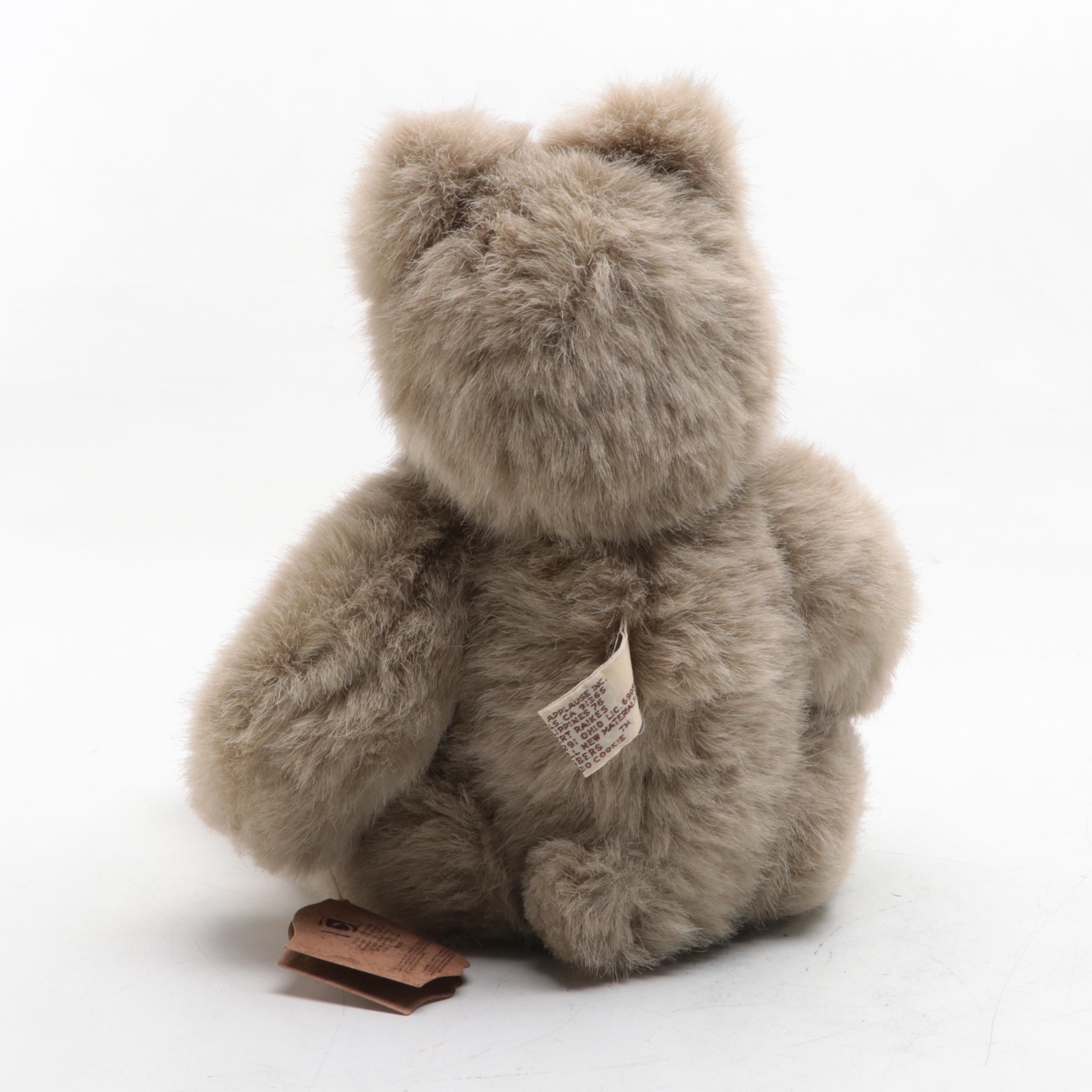 Fisher-Price Tiny Teddy Pull Toy with Raikes Bears Teddy Bear Doll