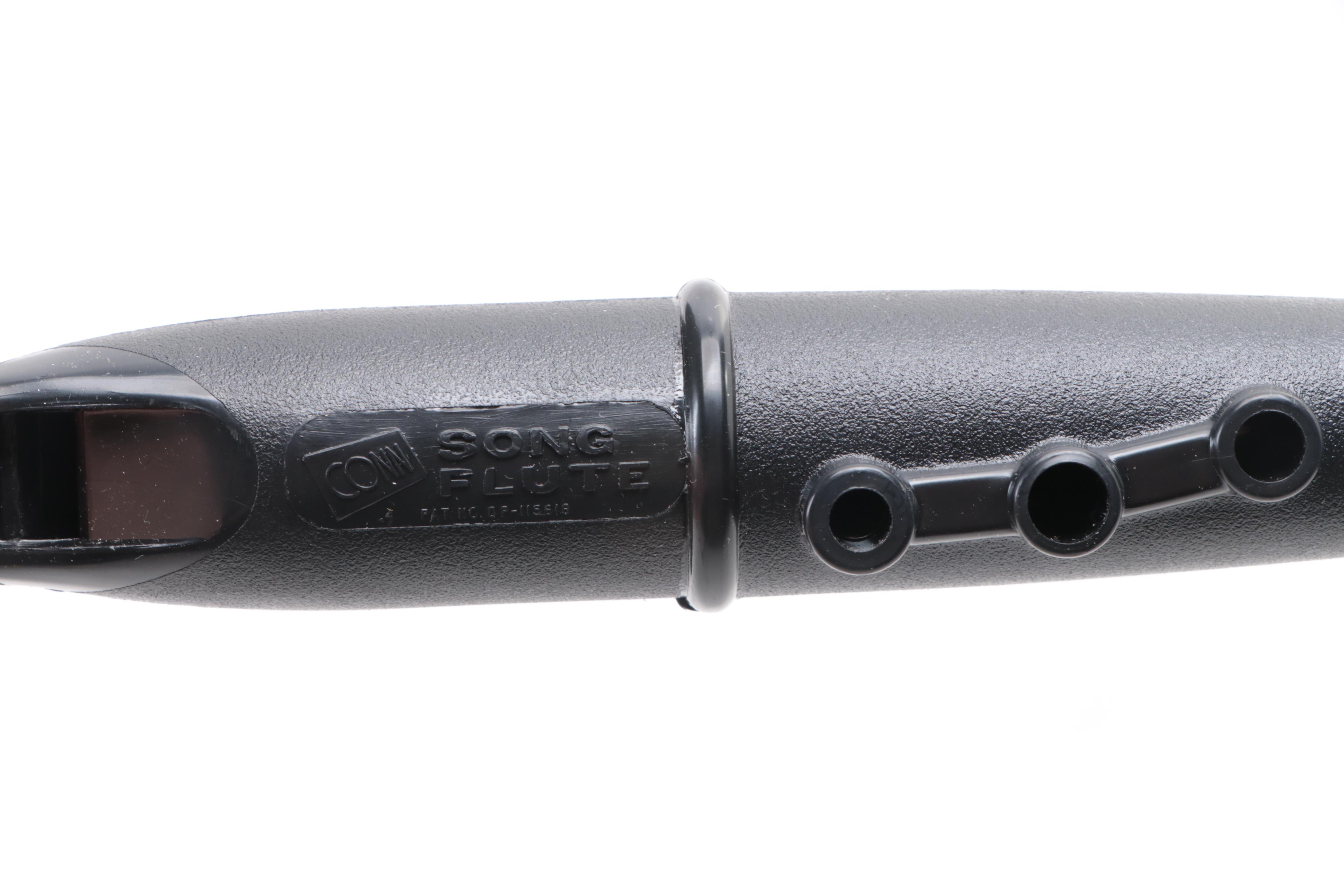 Conn Song Flute with Music Maker Dulcimer