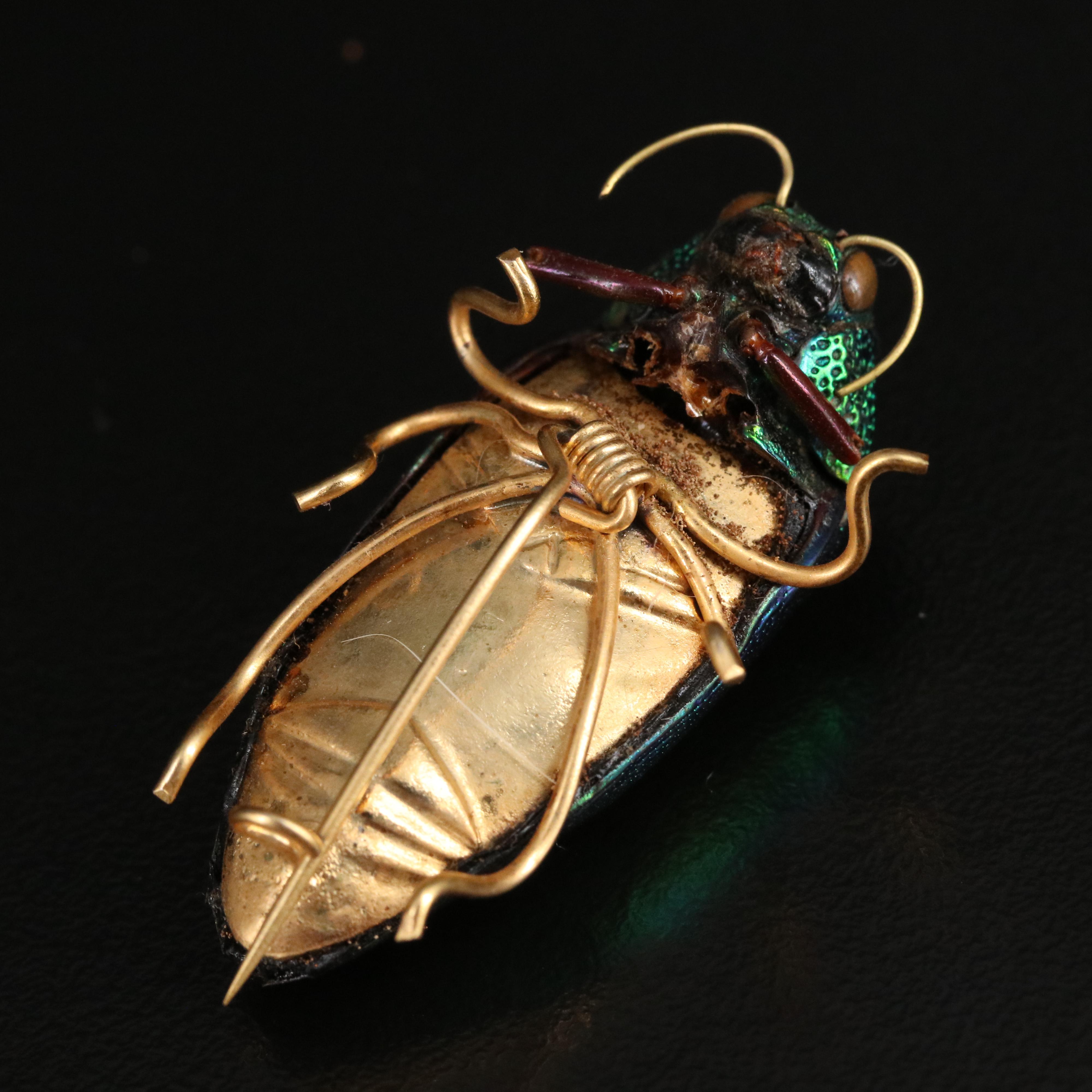 Beetle Pin