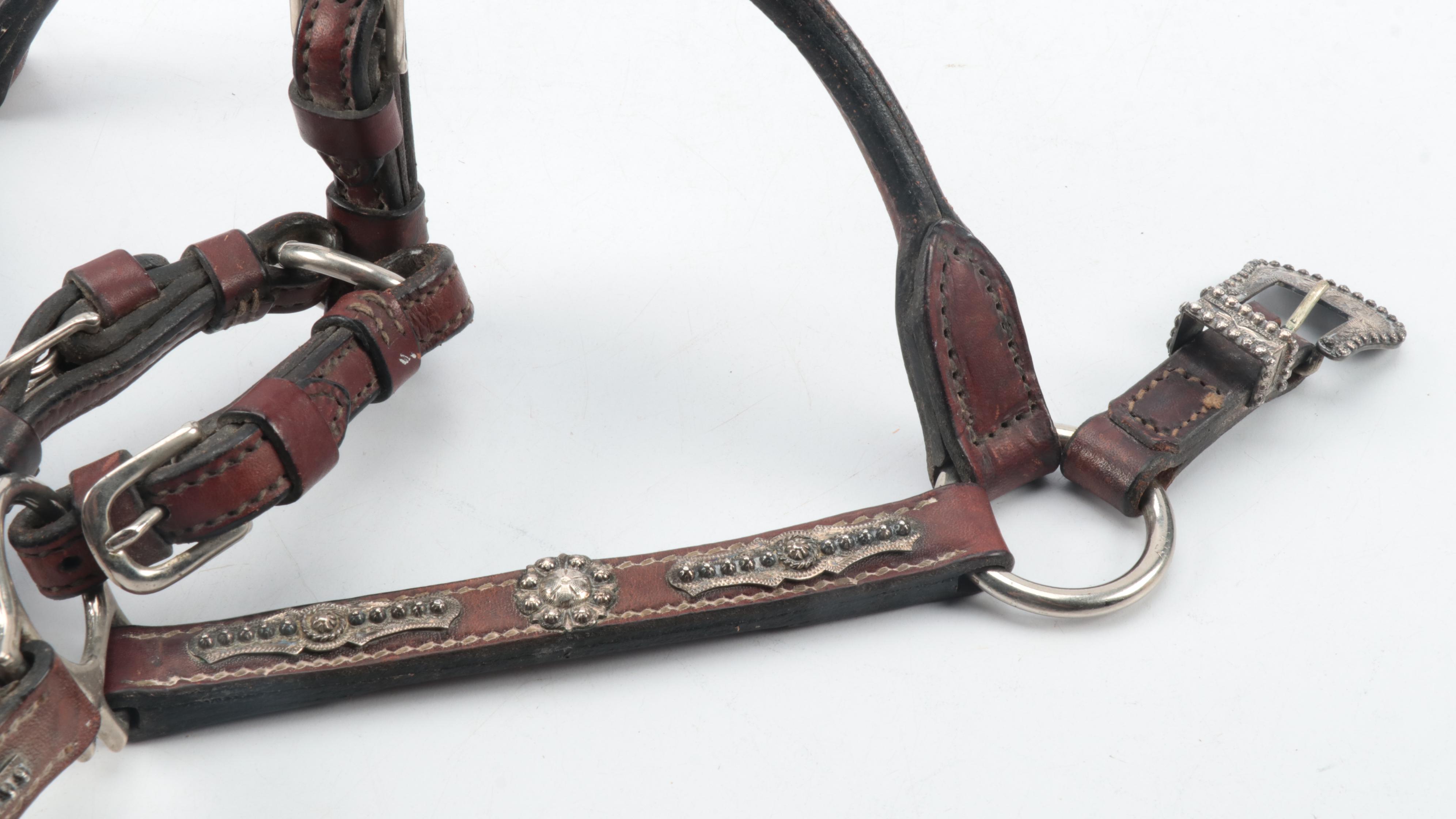 Leather and Sterling Silver Western Show Halter