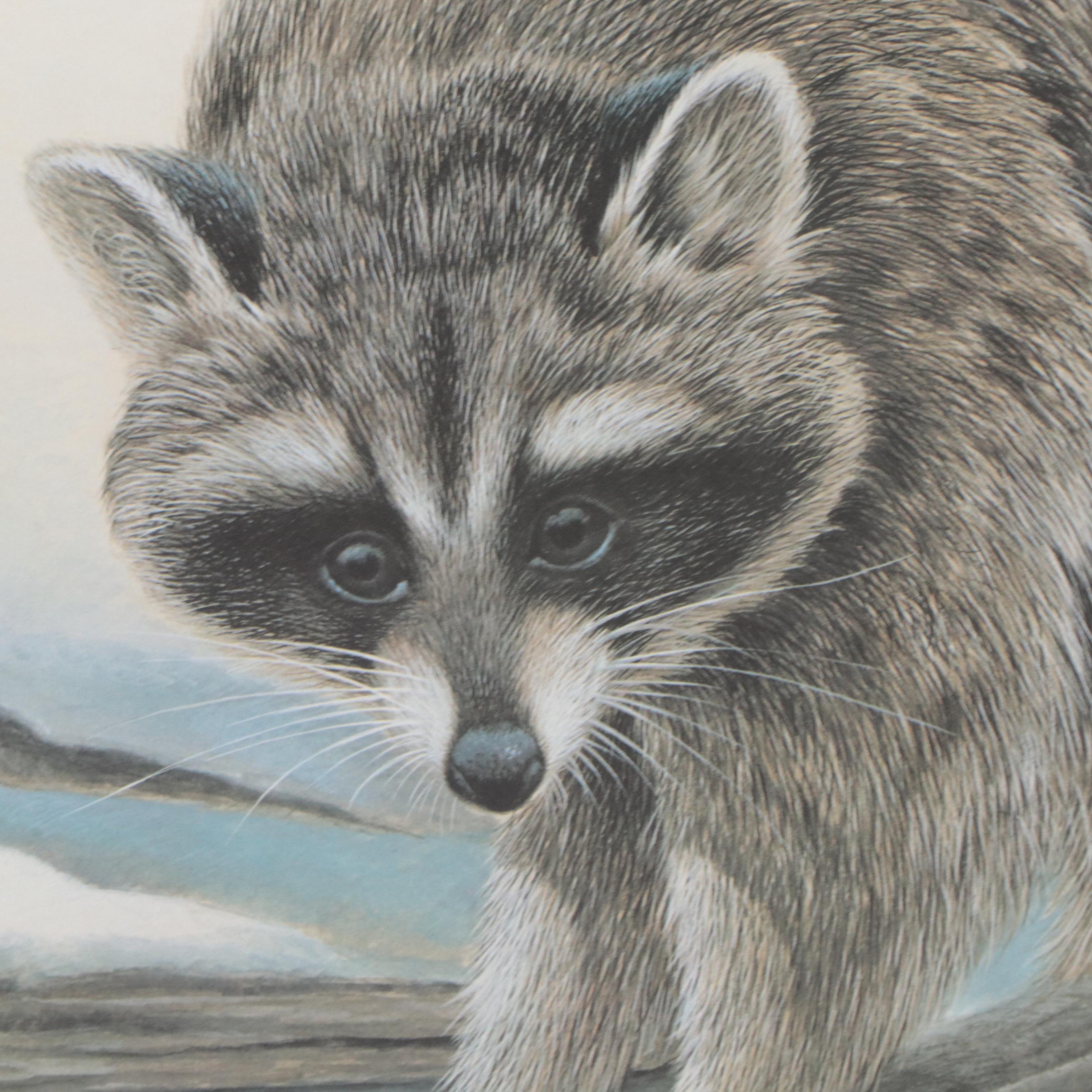 John A. Ruthven Offset Lithograph "Raccoon"