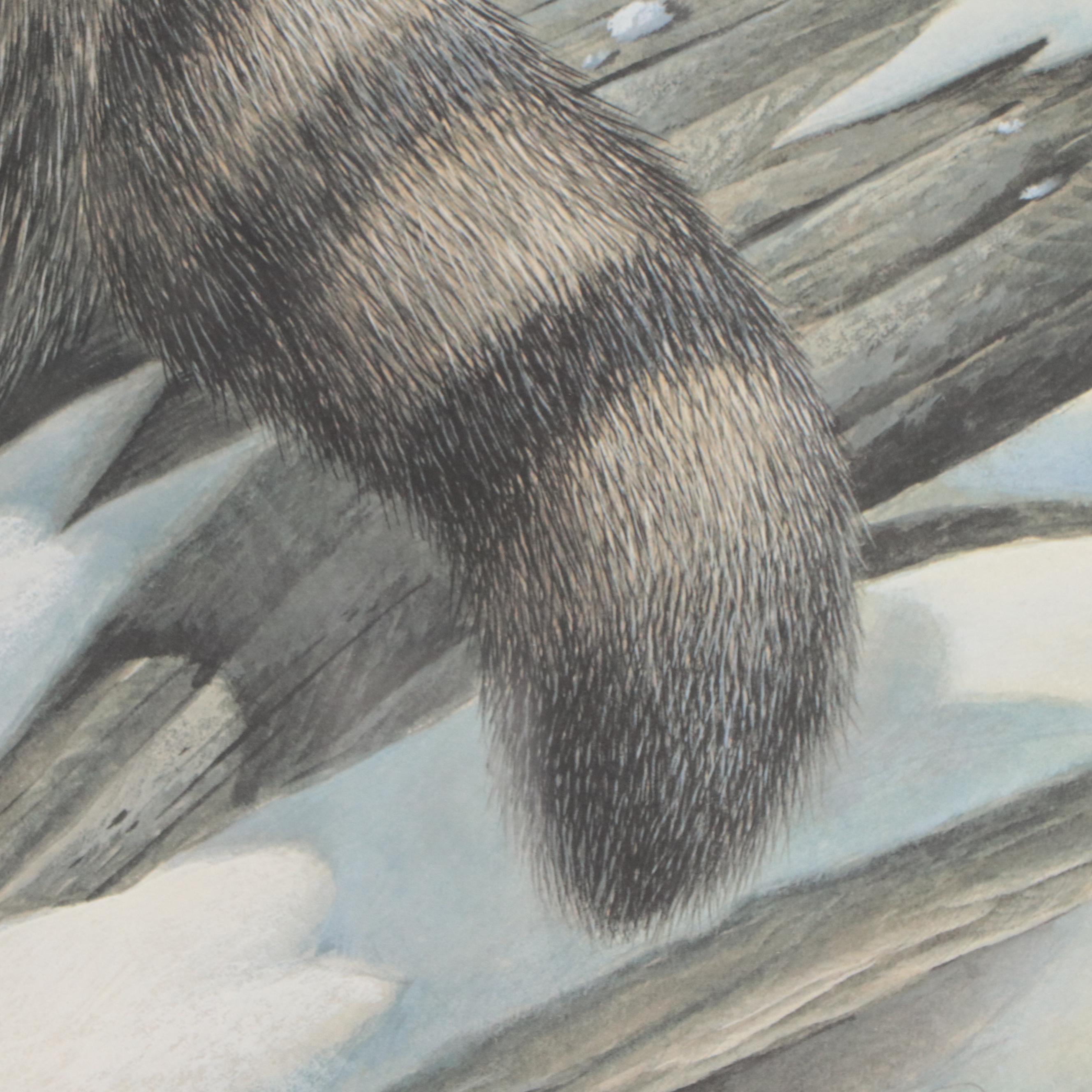 John A. Ruthven Offset Lithograph "Raccoon"