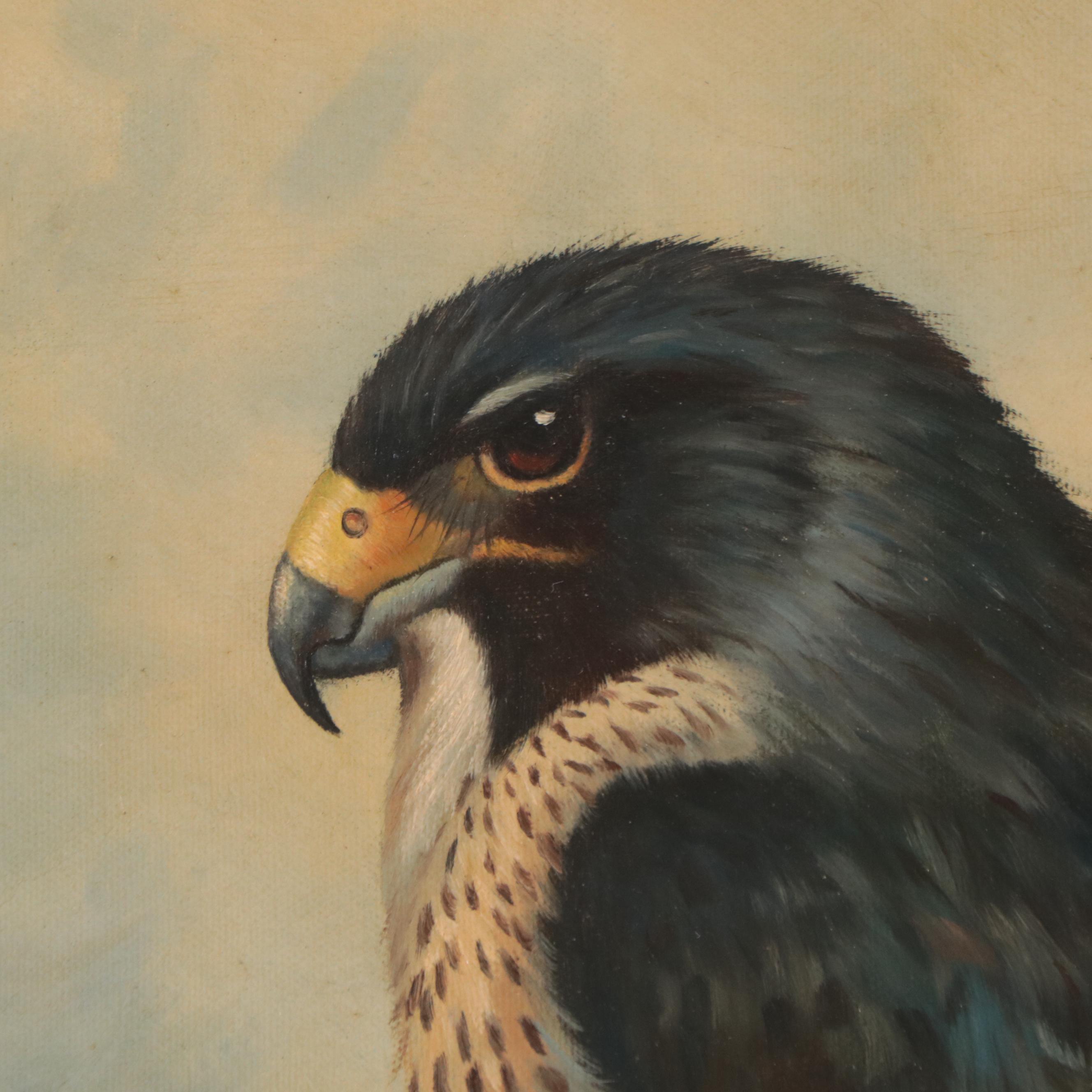 Oil Painting After Archibald Thorburn of Peregrine Falcon