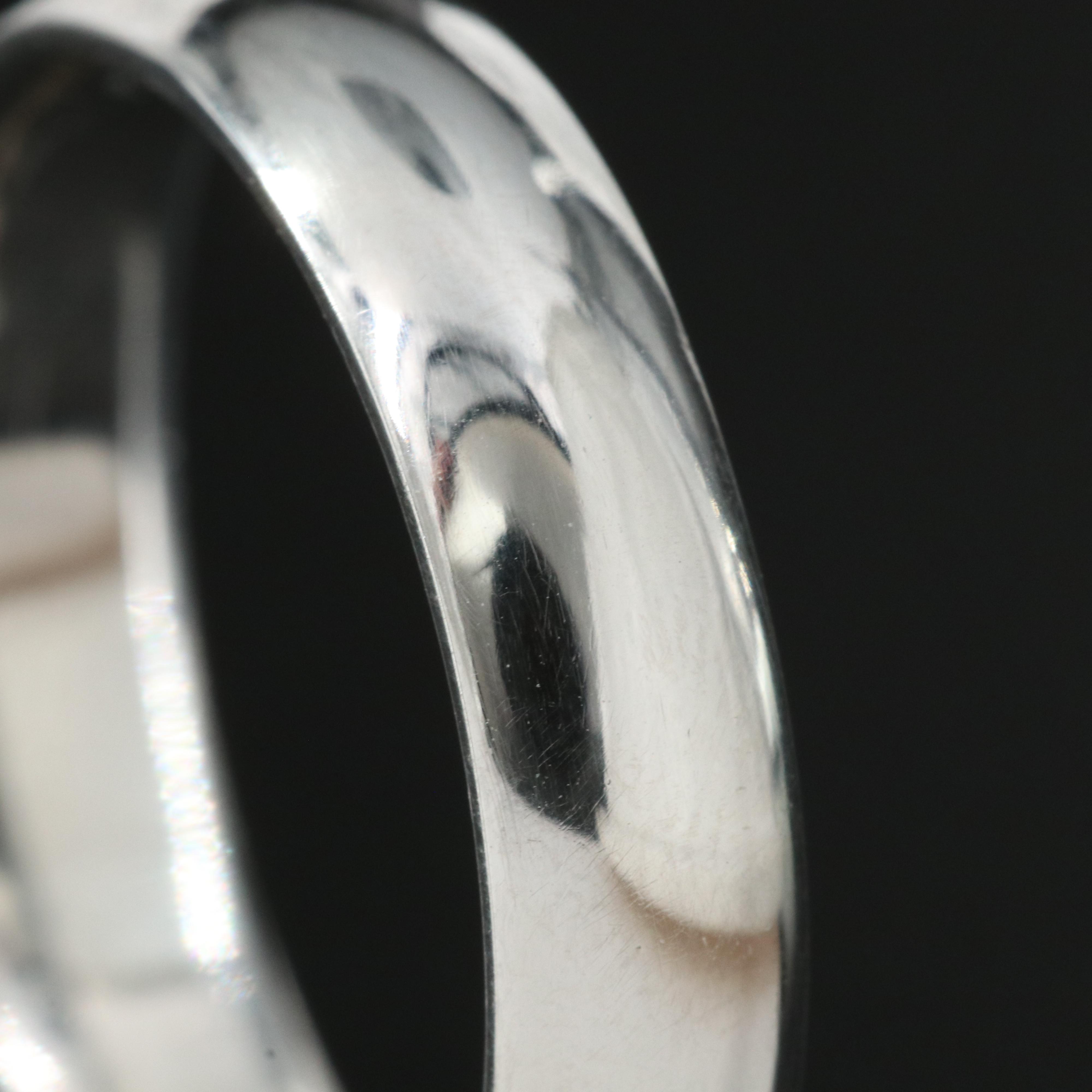 Platinum Polished Band