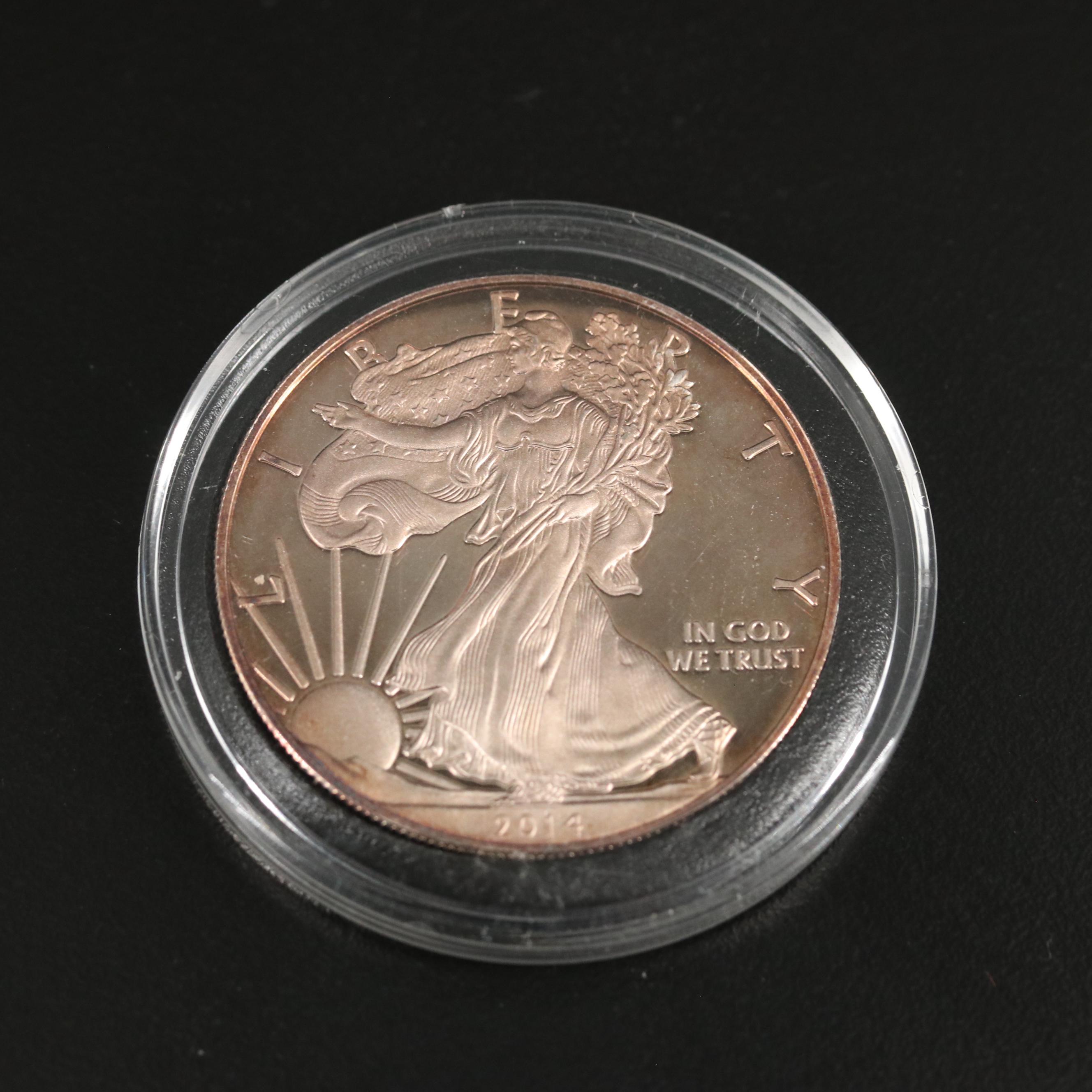 Collection of Nine Toned Proof American Silver Eagles
