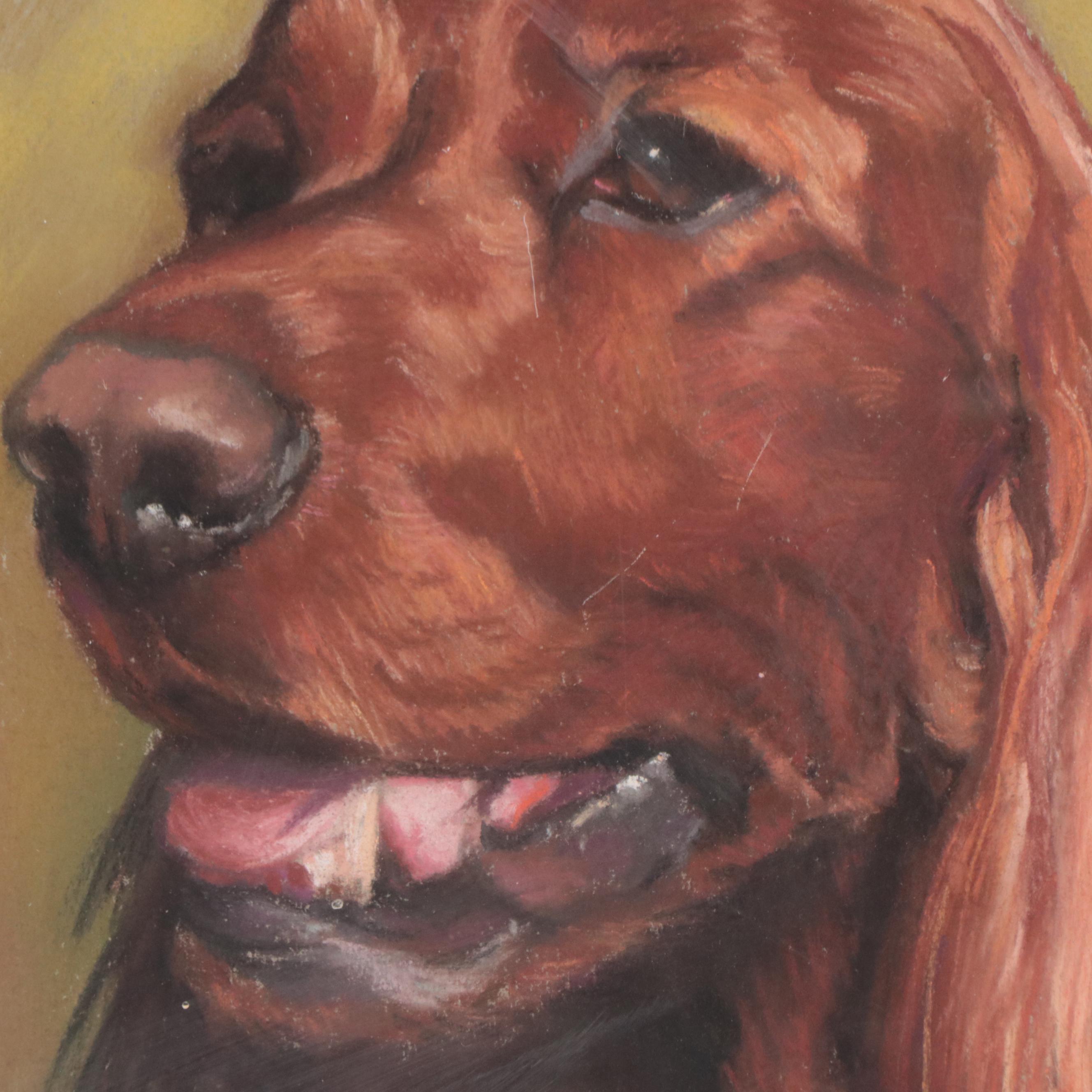 Pastel Portrait Drawing of Irish Red Setter, 1972