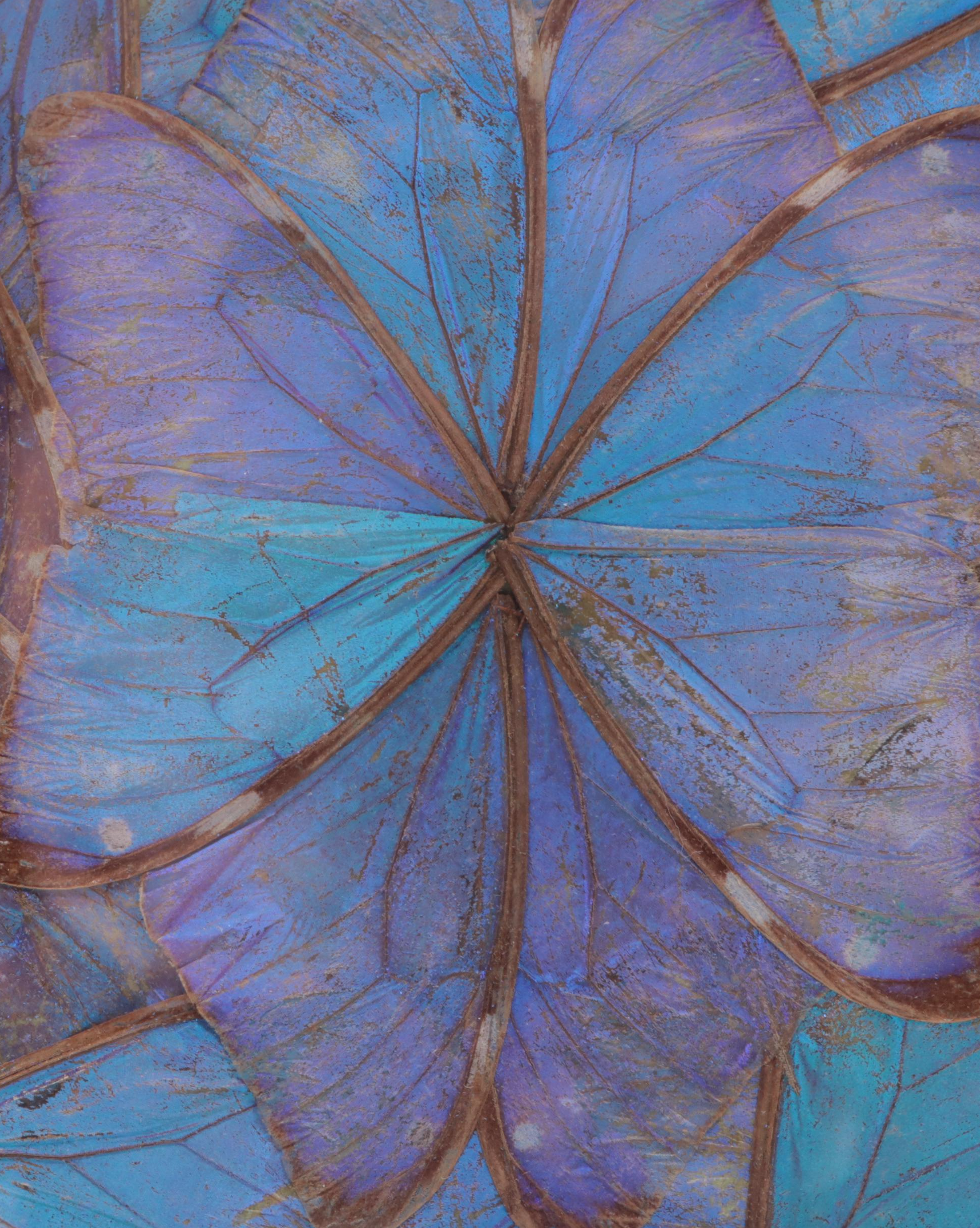 Blue Morpho Butterfly Wing Dish