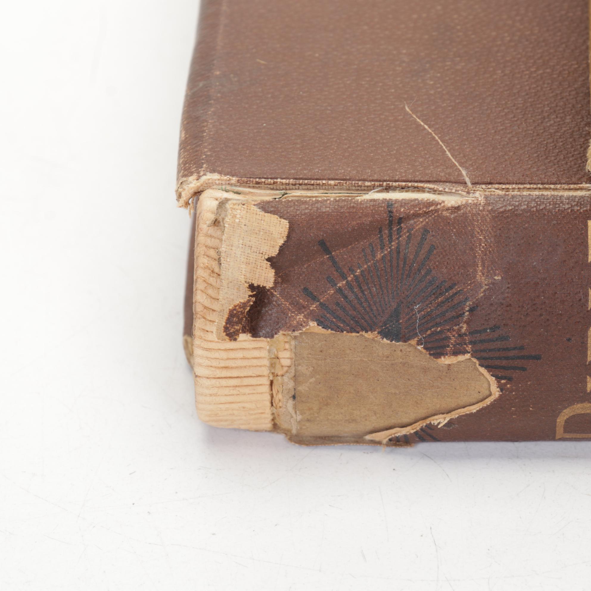 Gustave Doré Illustrated "The Bible Gallery" by Talbot W. Chambers and More