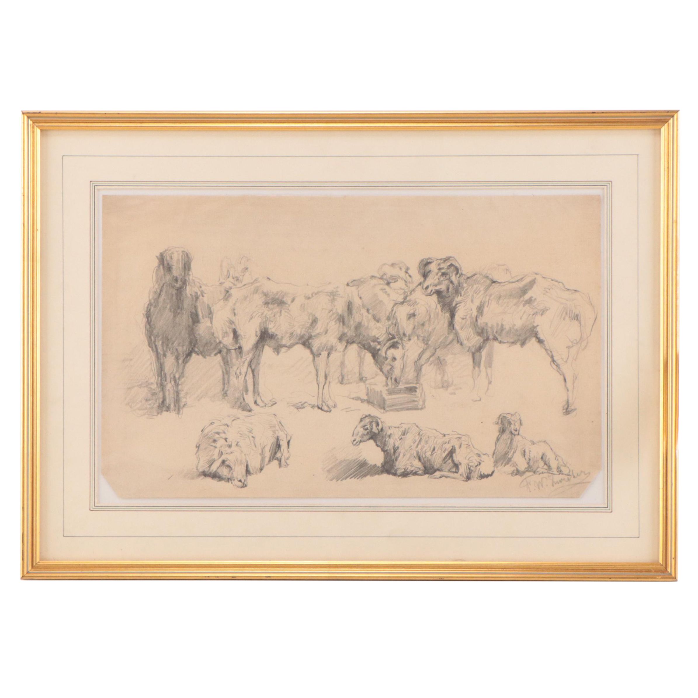 Frederik Willem Zurcher Graphite Study of Sheep, Late 19th Century