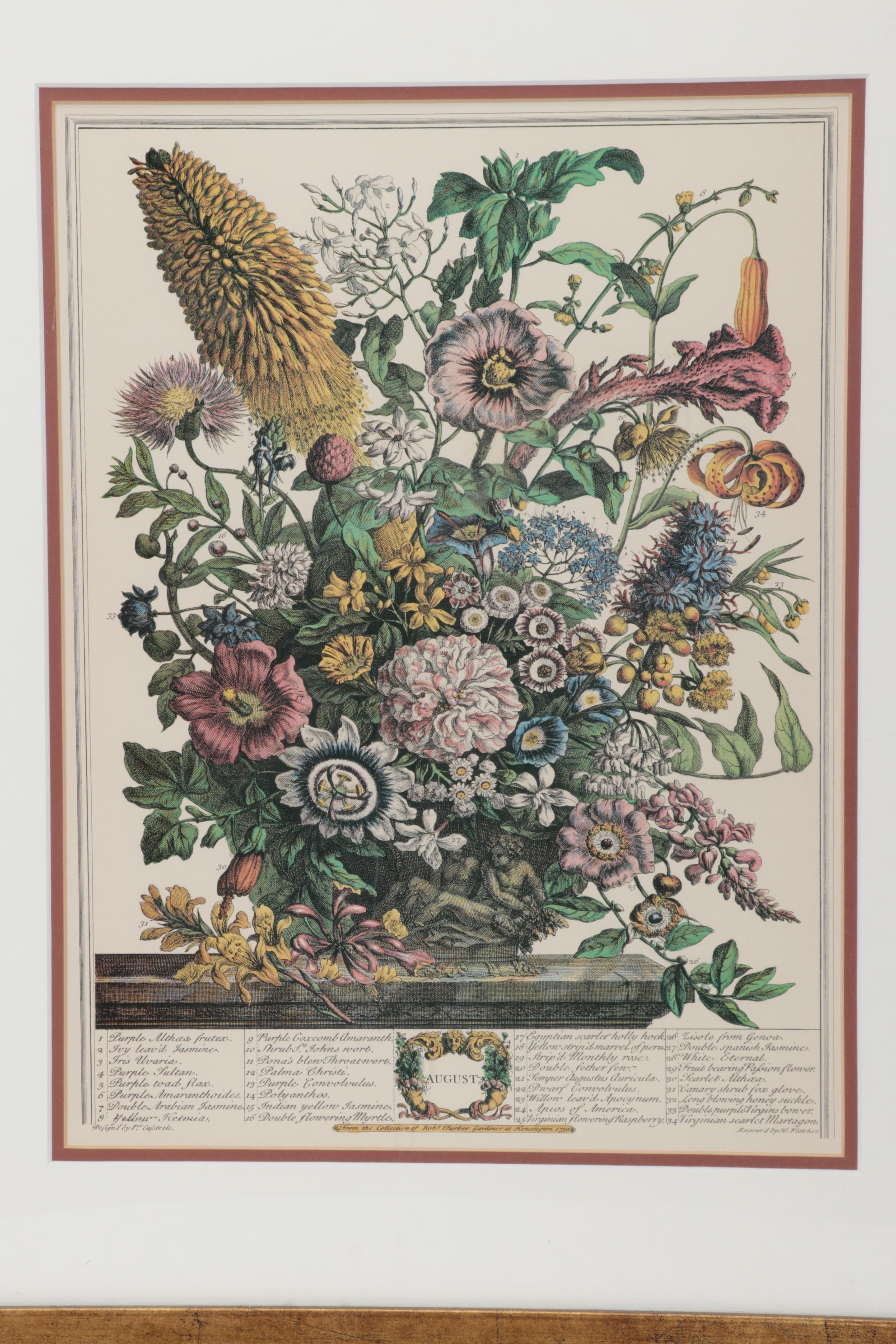 Botanical Print Offset Lithographs After Robert Furber Including "August"