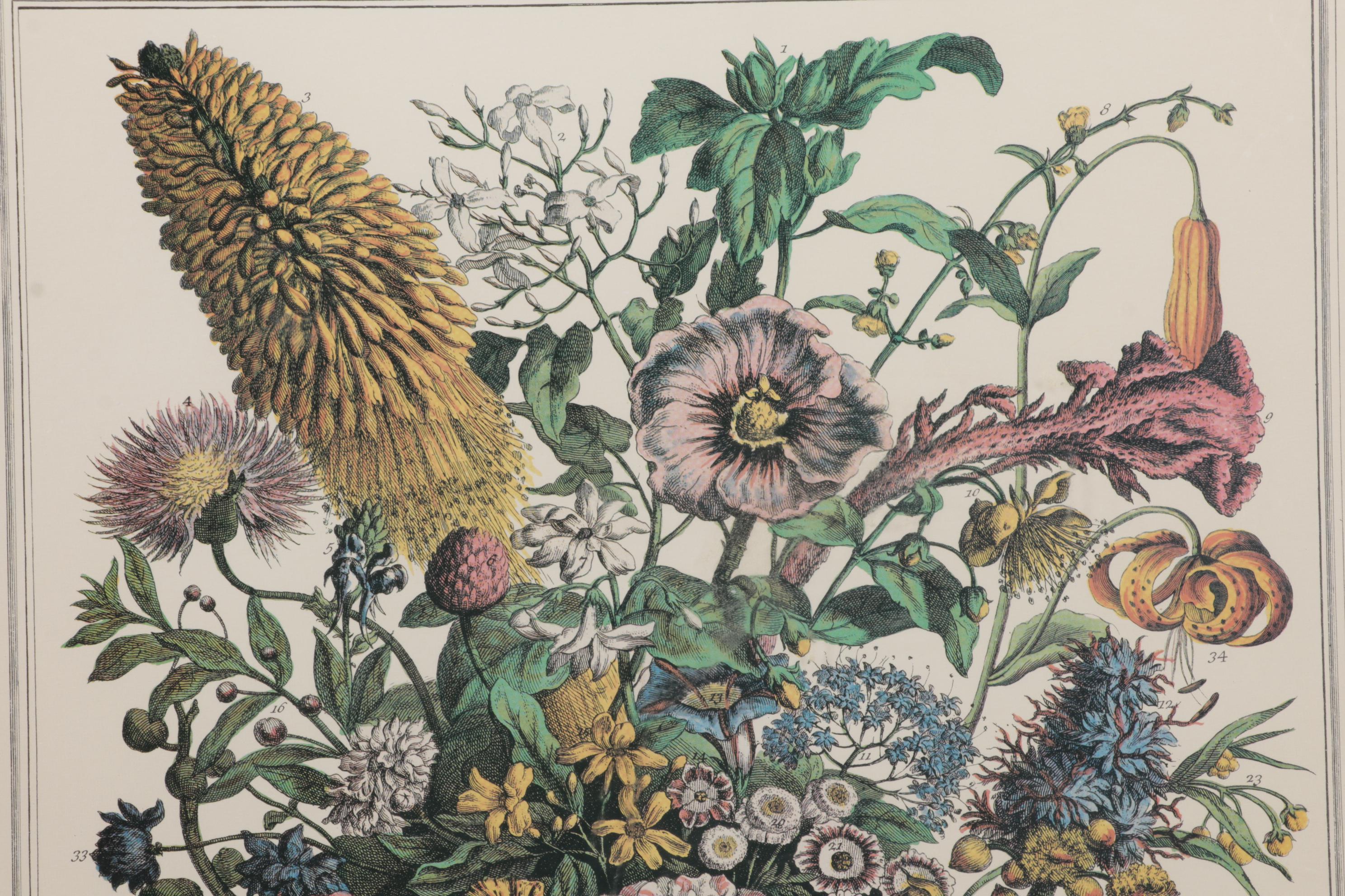 Botanical Print Offset Lithographs After Robert Furber Including "August"