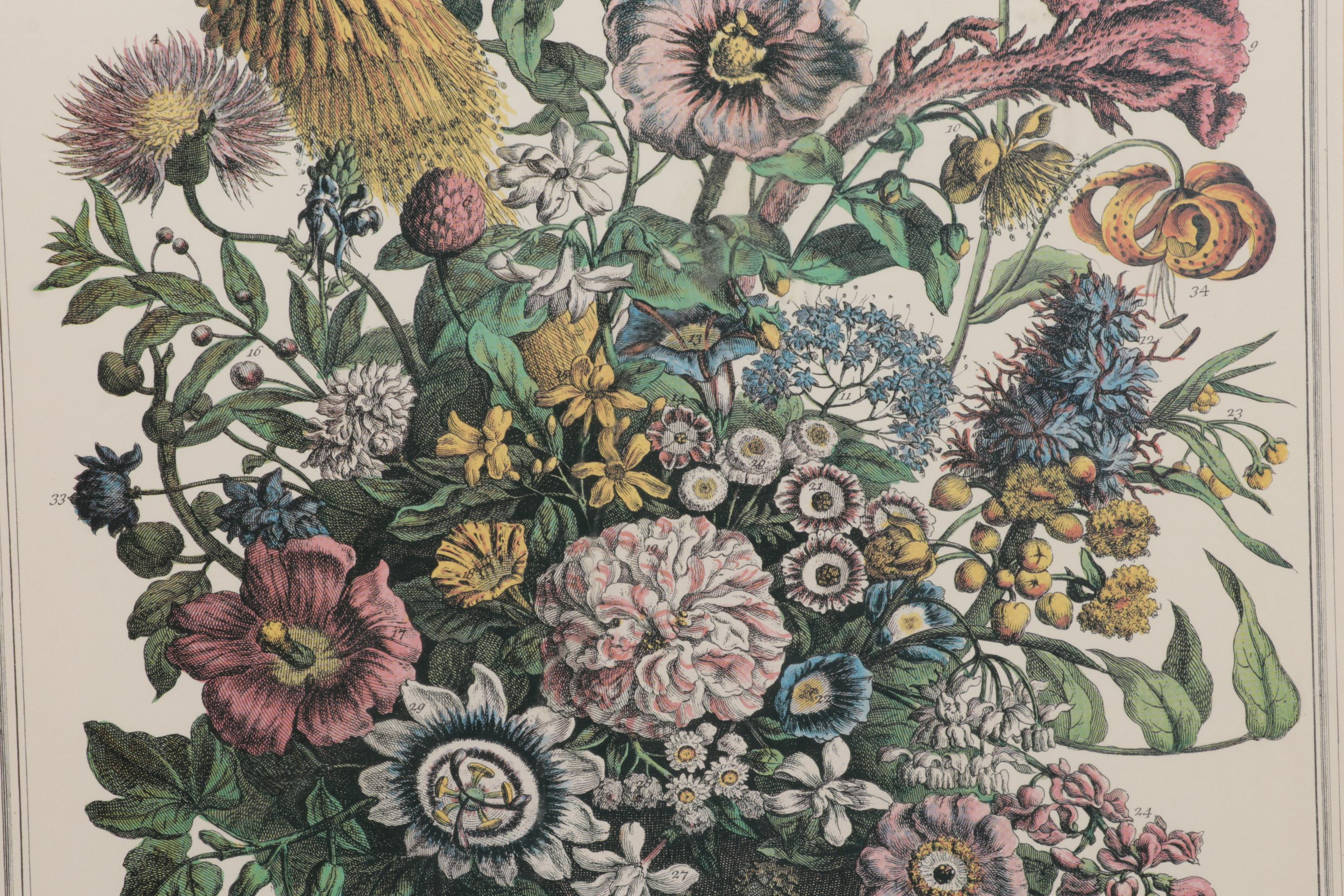 Botanical Print Offset Lithographs After Robert Furber Including "August"