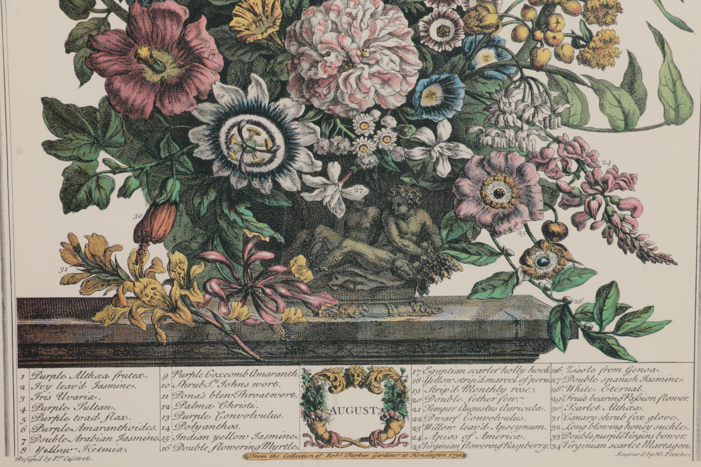 Botanical Print Offset Lithographs After Robert Furber Including "August"