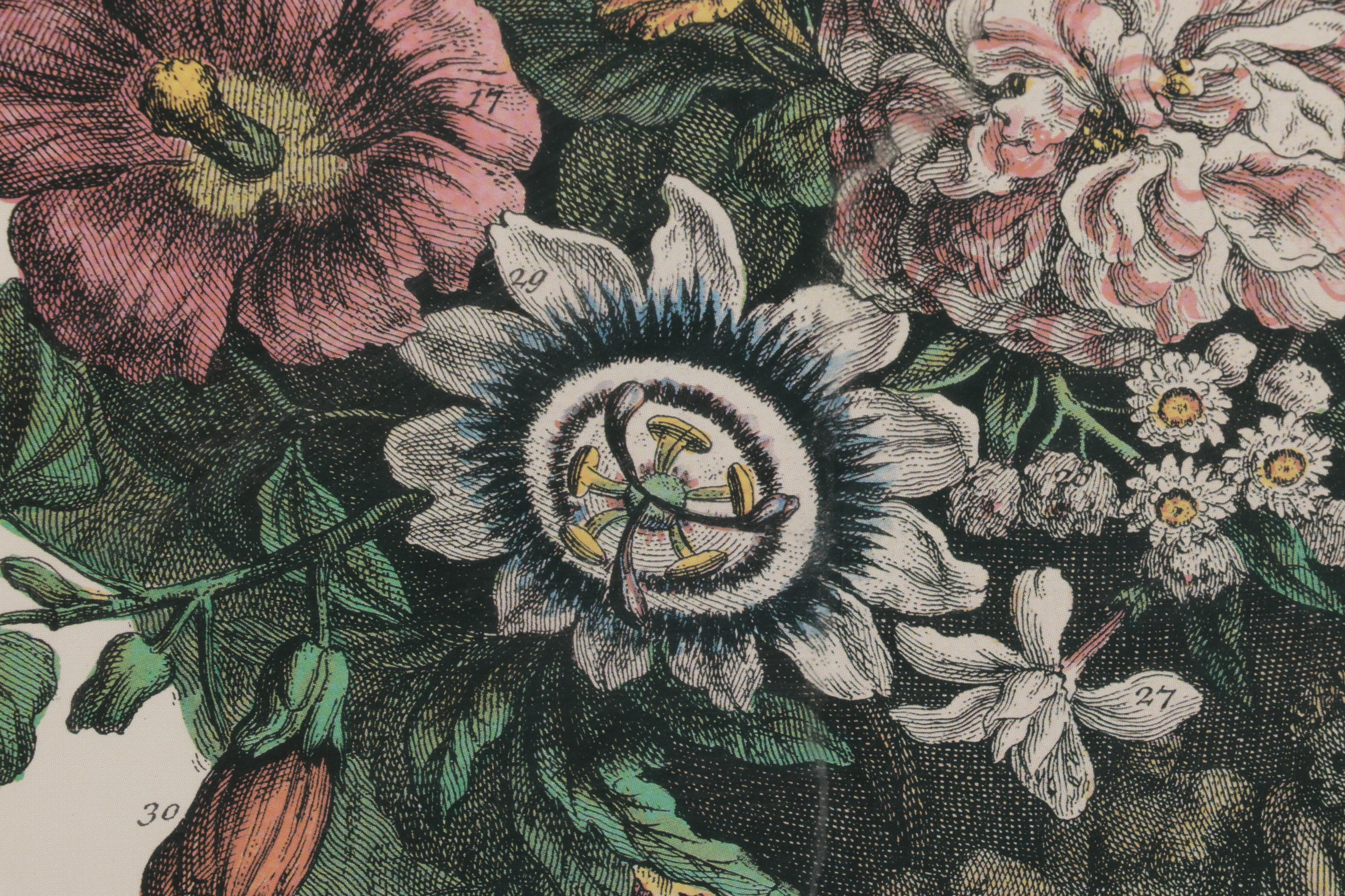 Botanical Print Offset Lithographs After Robert Furber Including "August"