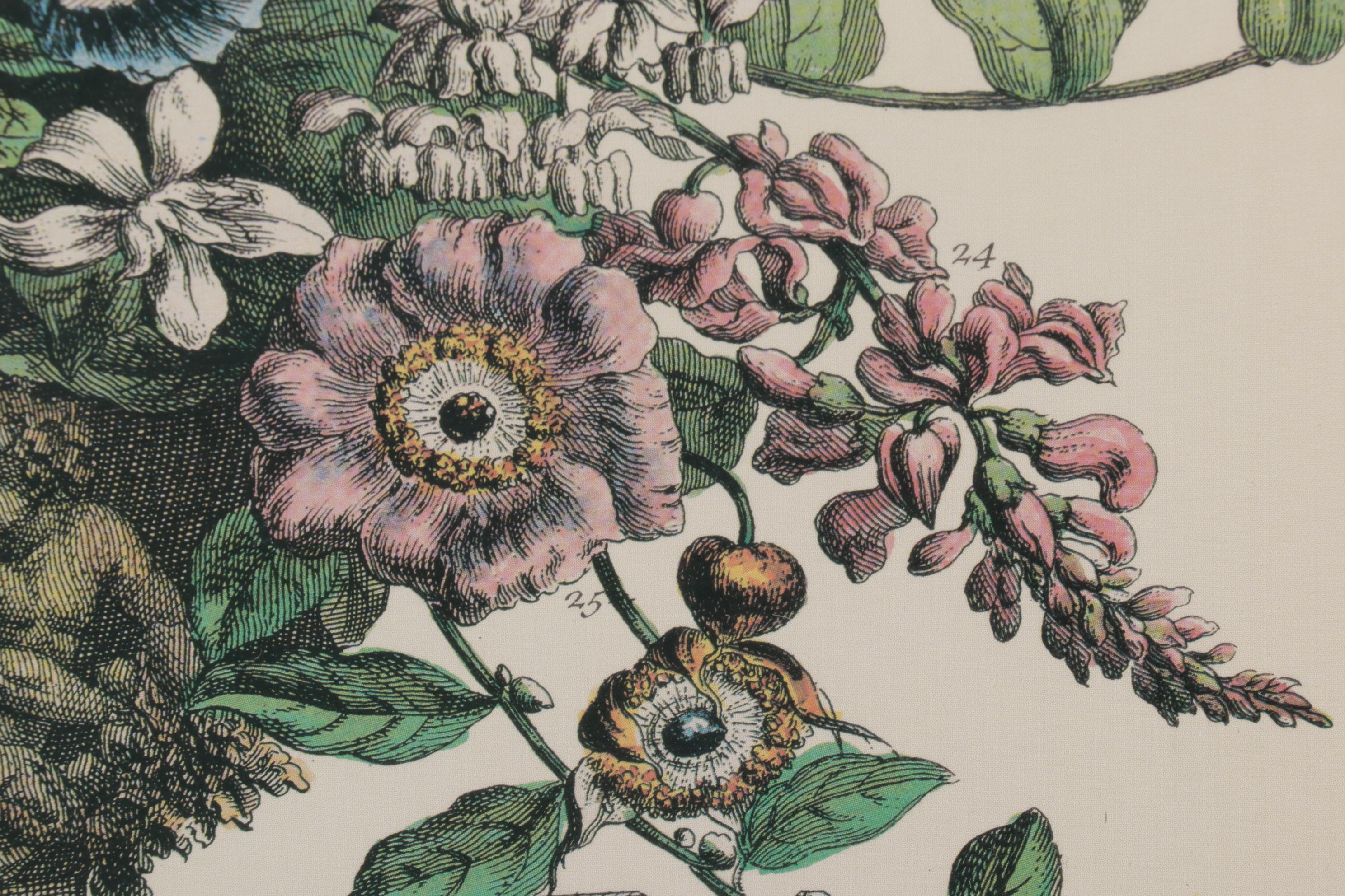 Botanical Print Offset Lithographs After Robert Furber Including "August"
