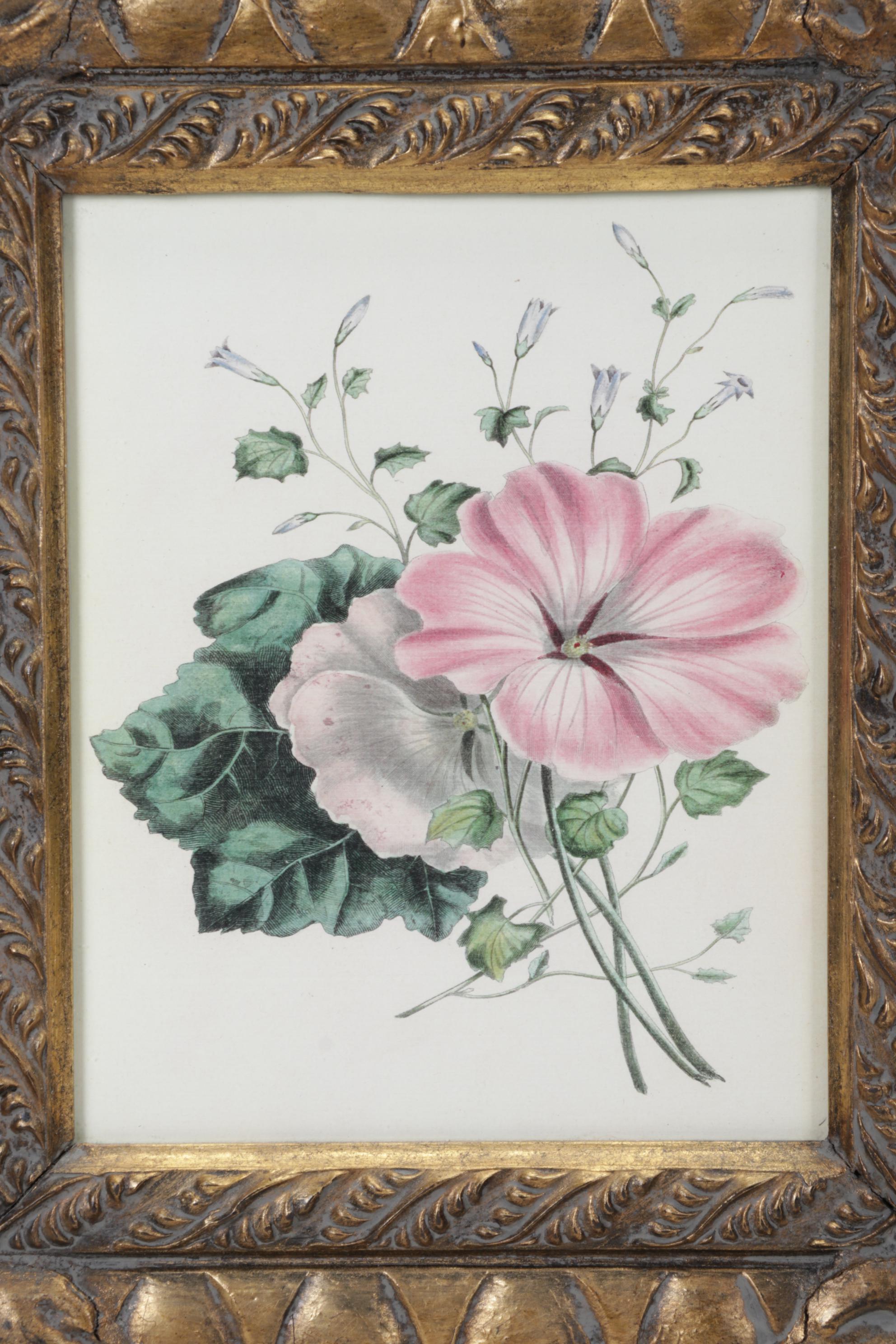 Botanical Print Offset Lithographs After Robert Furber Including "August"