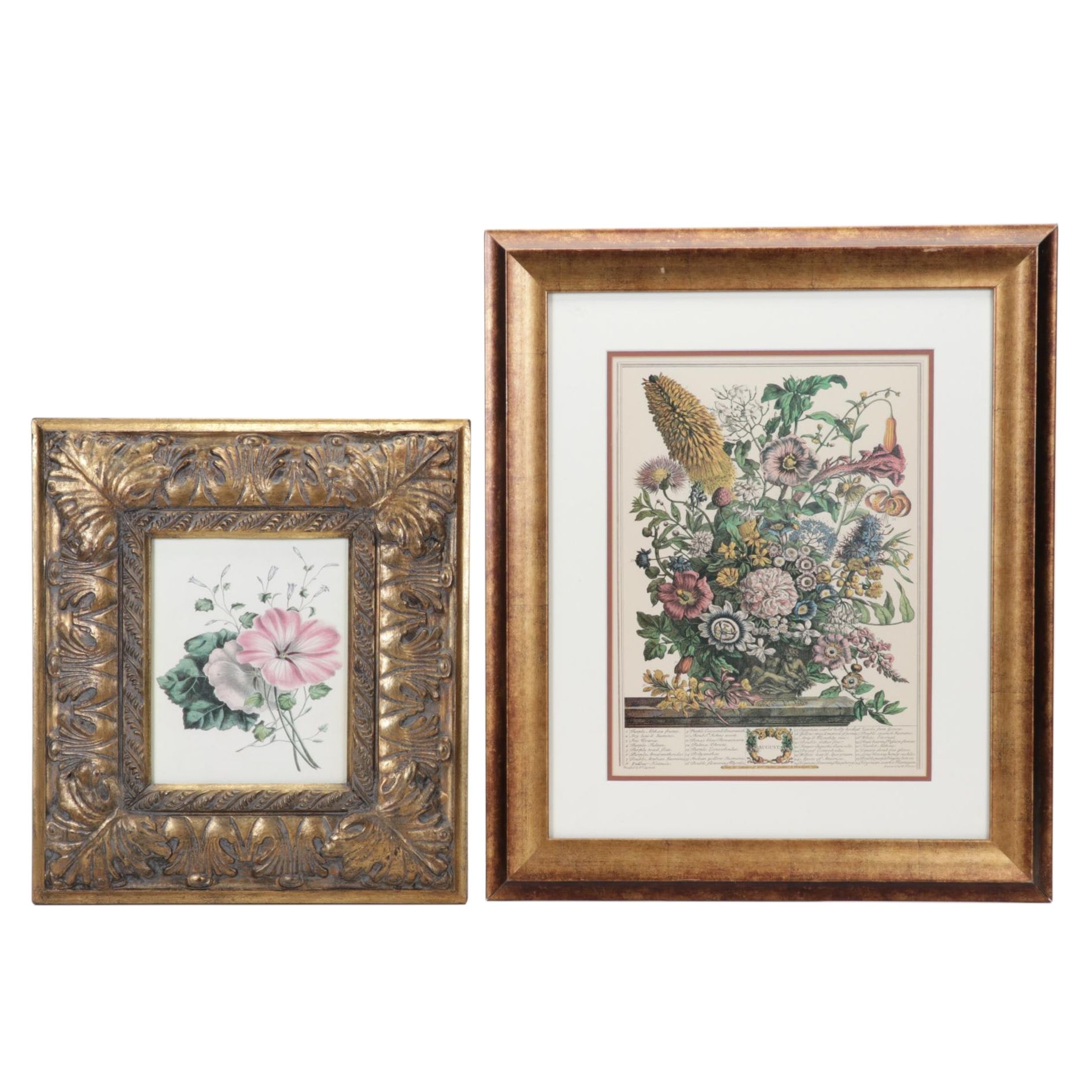 Botanical Print Offset Lithographs After Robert Furber Including "August"