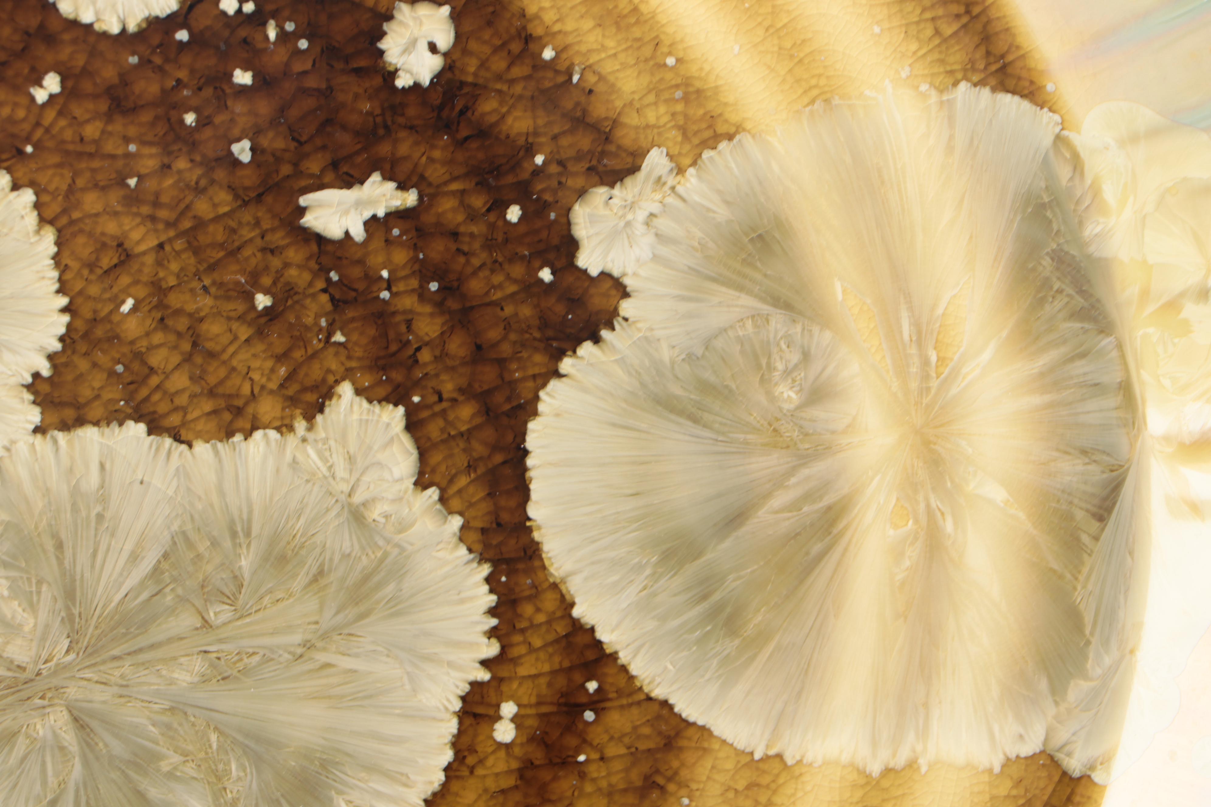 Edgecomb Pottery Ceramic Plate with Metal Plate Stand