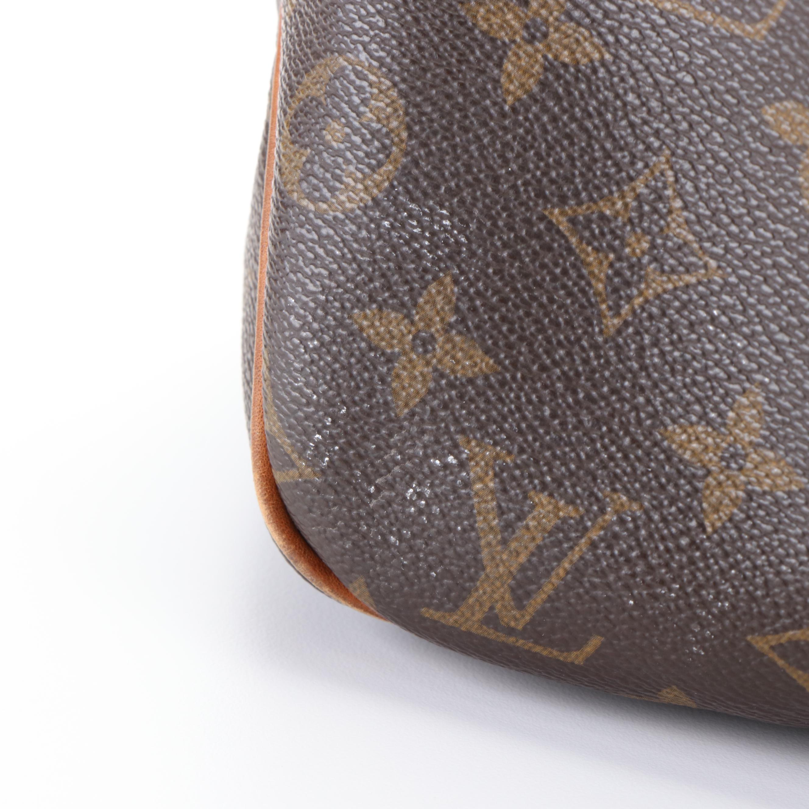 Louis Vuitton Delightful MM Bag in Monogram Coated Canvas and Leather