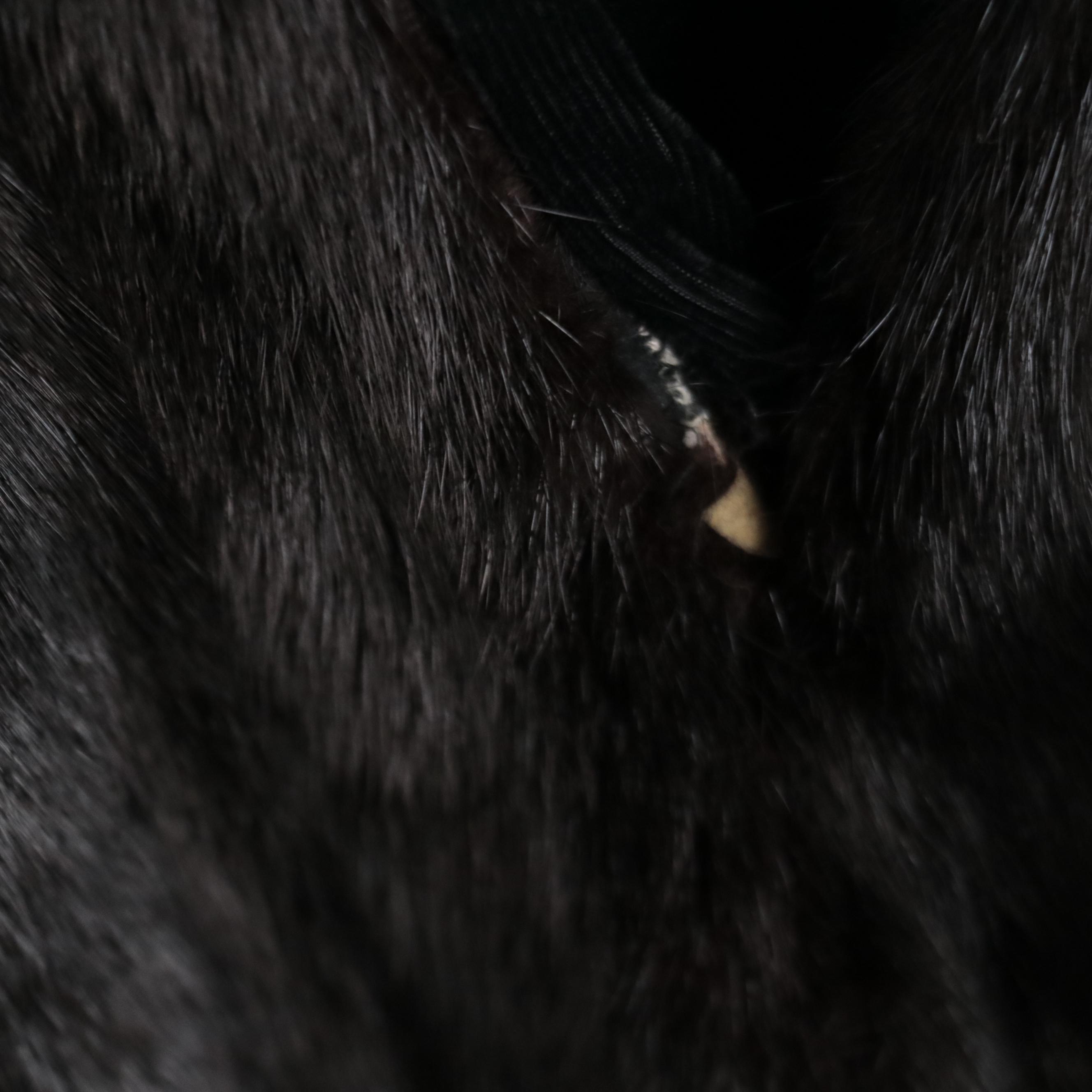 Ranched Mink Fur Full Length Coat by Saga Furs