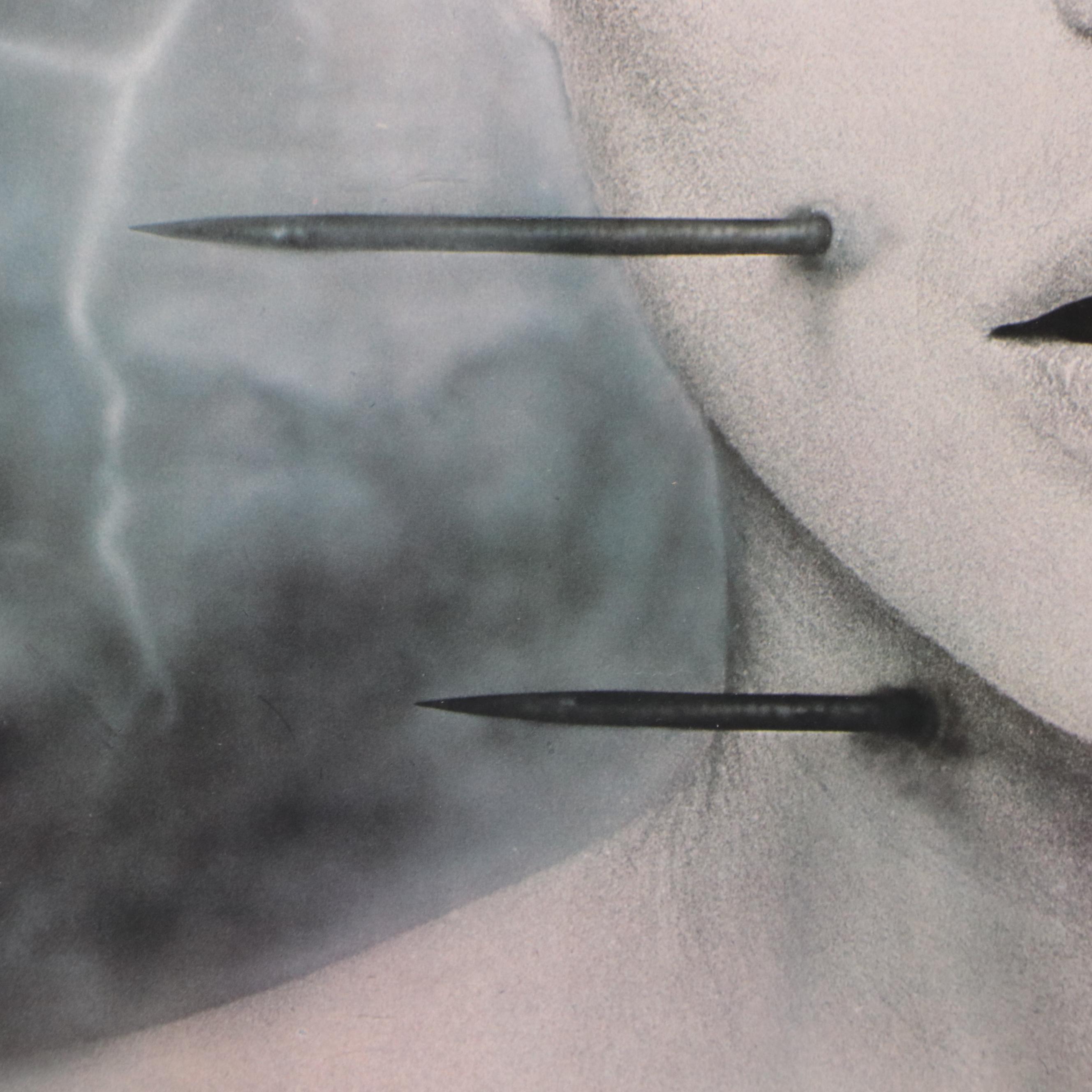 Offset Lithograph Poster of Debbie Harry Album Cover After H.R. Giger