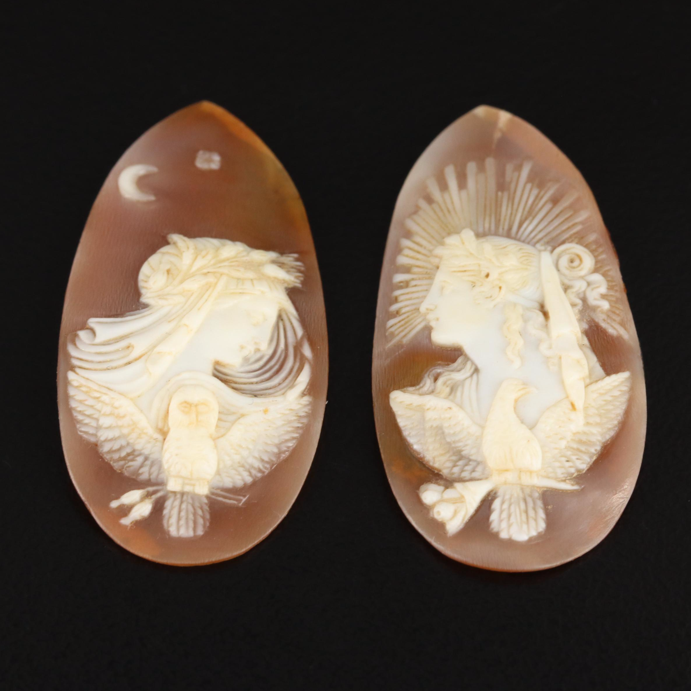 Loose Shell Cameos Featuring an Allegory of "Day and Night"