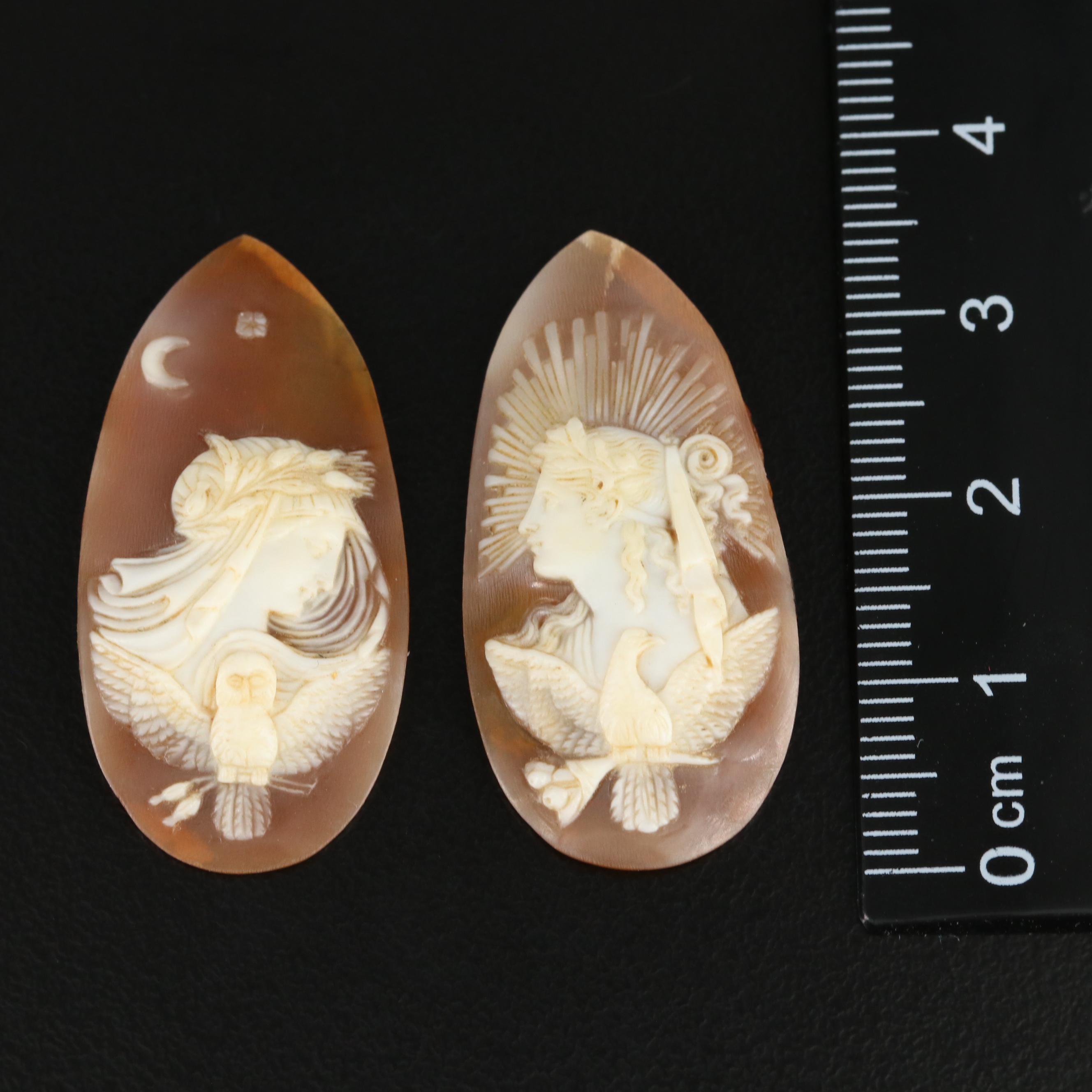 Loose Shell Cameos Featuring an Allegory of "Day and Night"