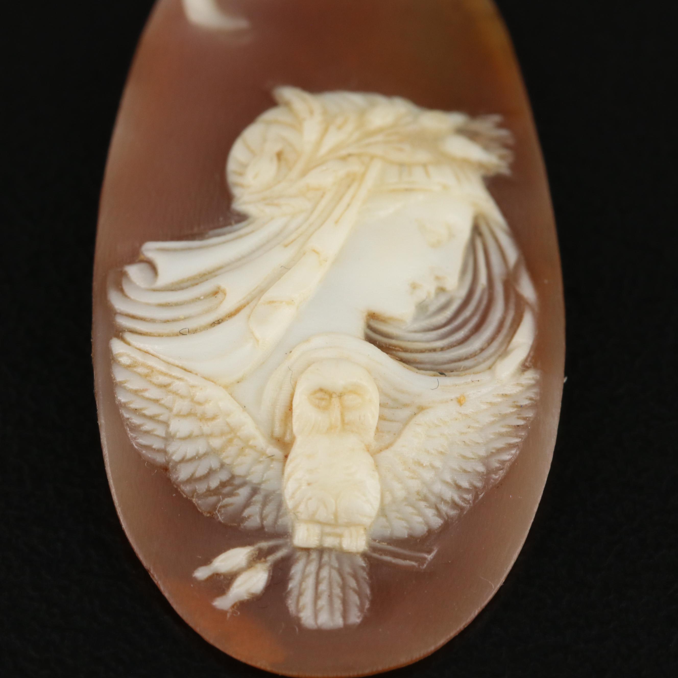 Loose Shell Cameos Featuring an Allegory of "Day and Night"
