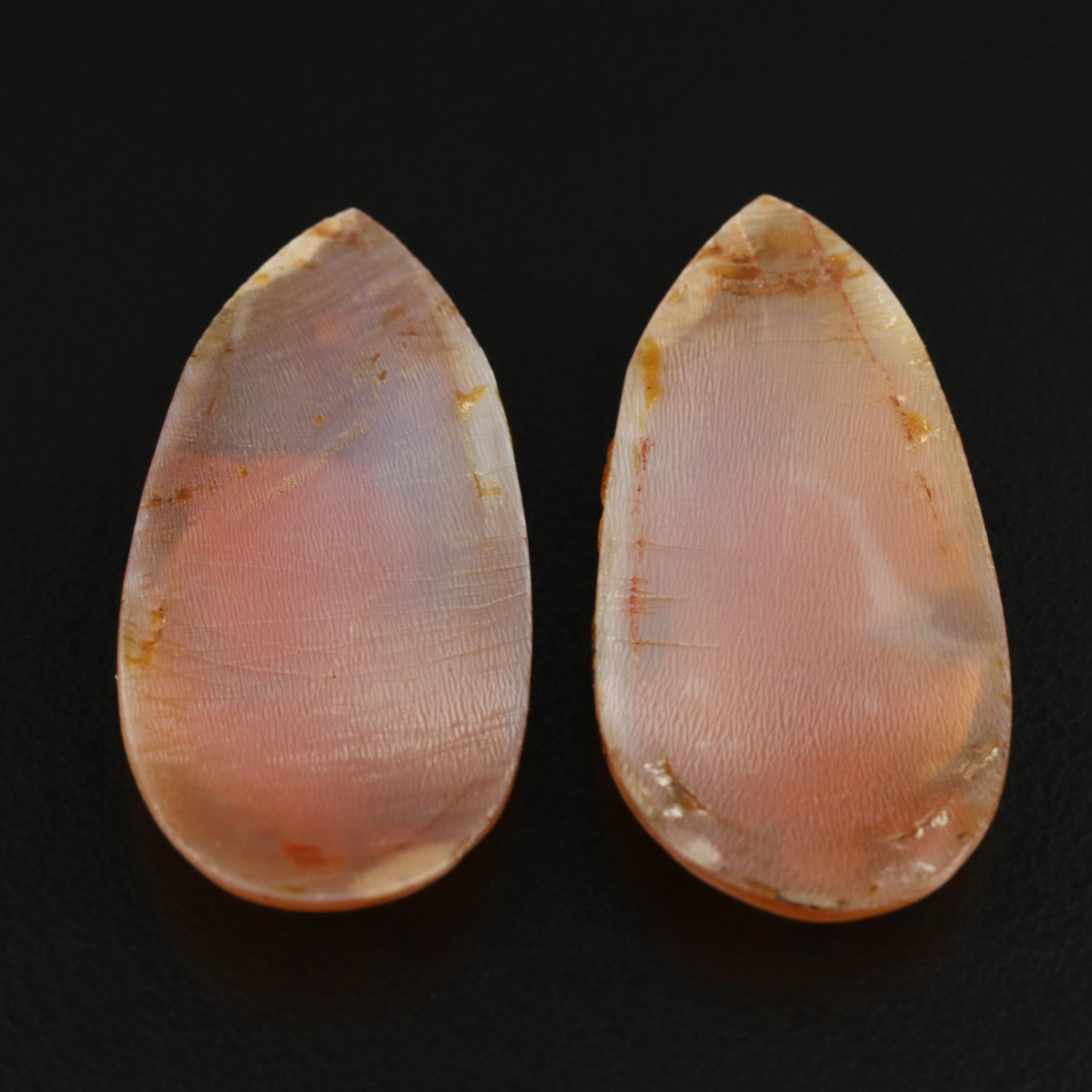 Loose Shell Cameos Featuring an Allegory of "Day and Night"