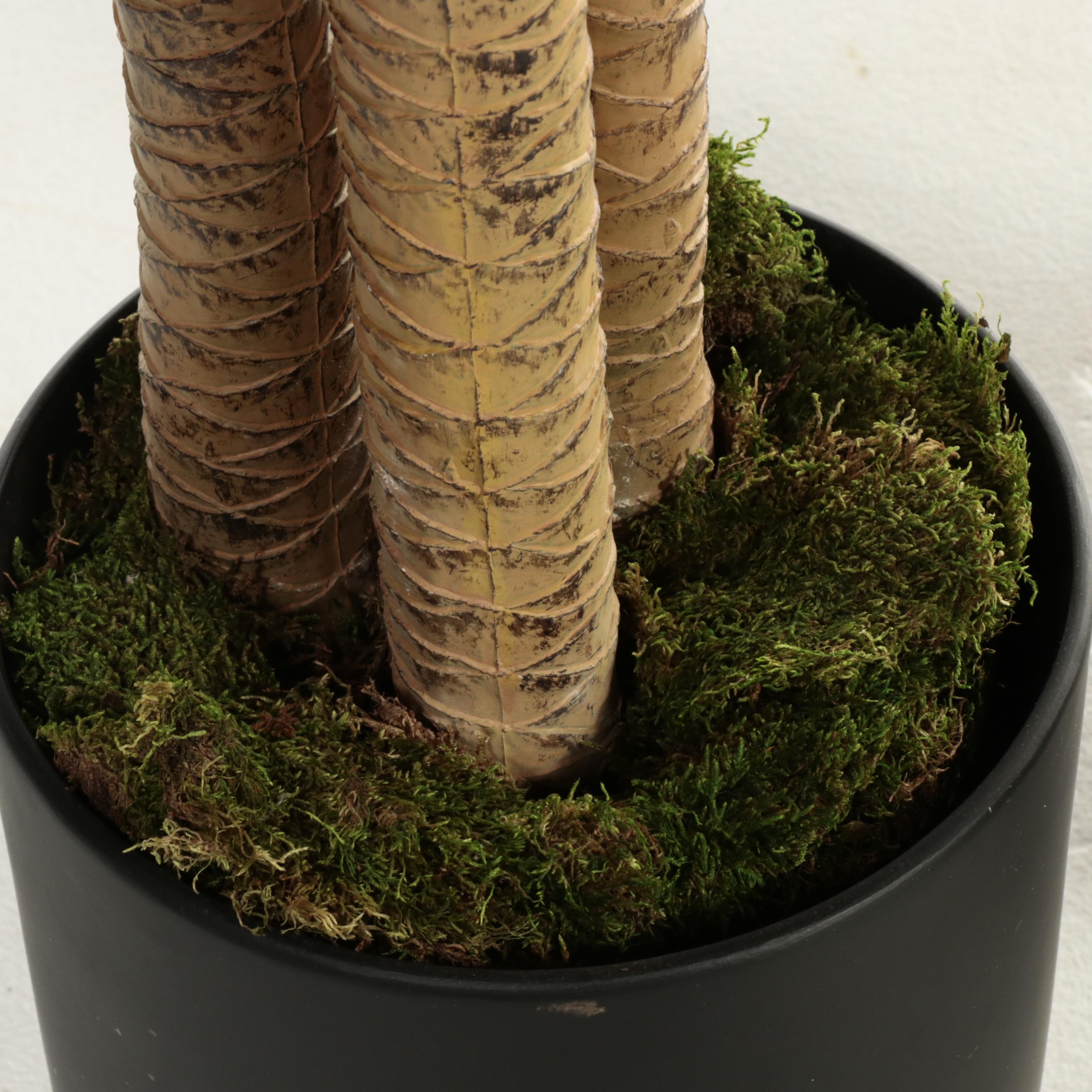 Artificial Corn Plants in Ceramic Planters