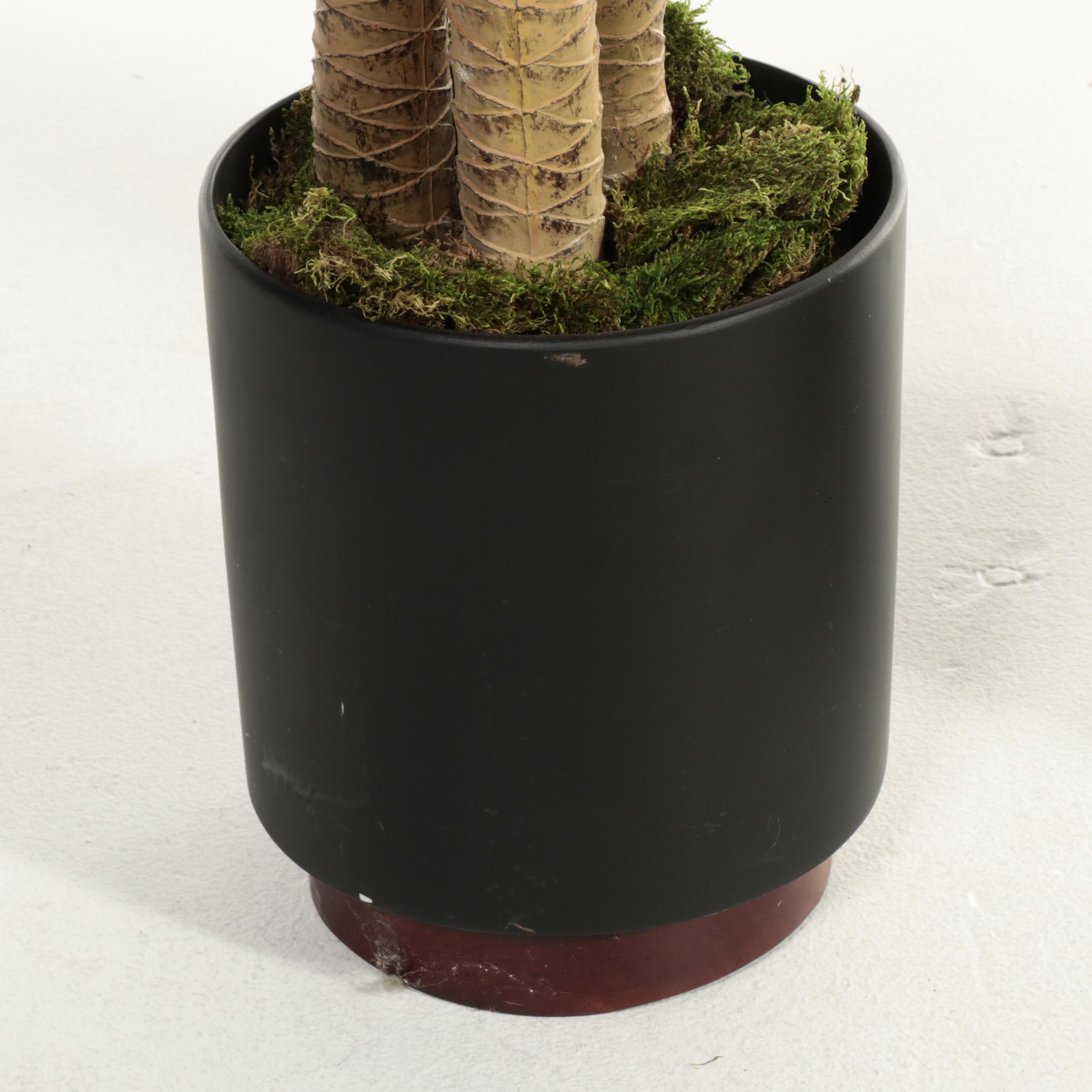 Artificial Corn Plants in Ceramic Planters