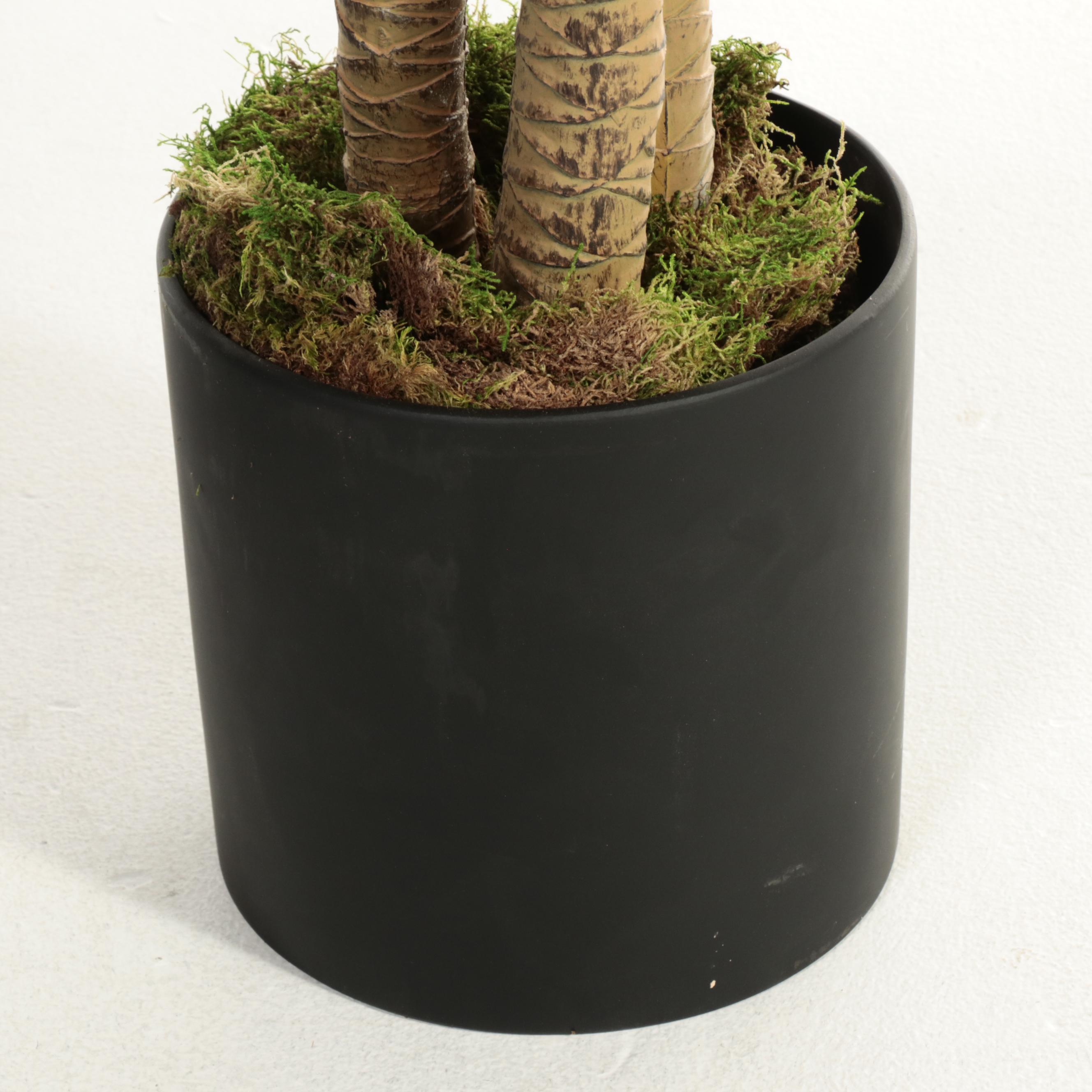 Artificial Corn Plants in Ceramic Planters