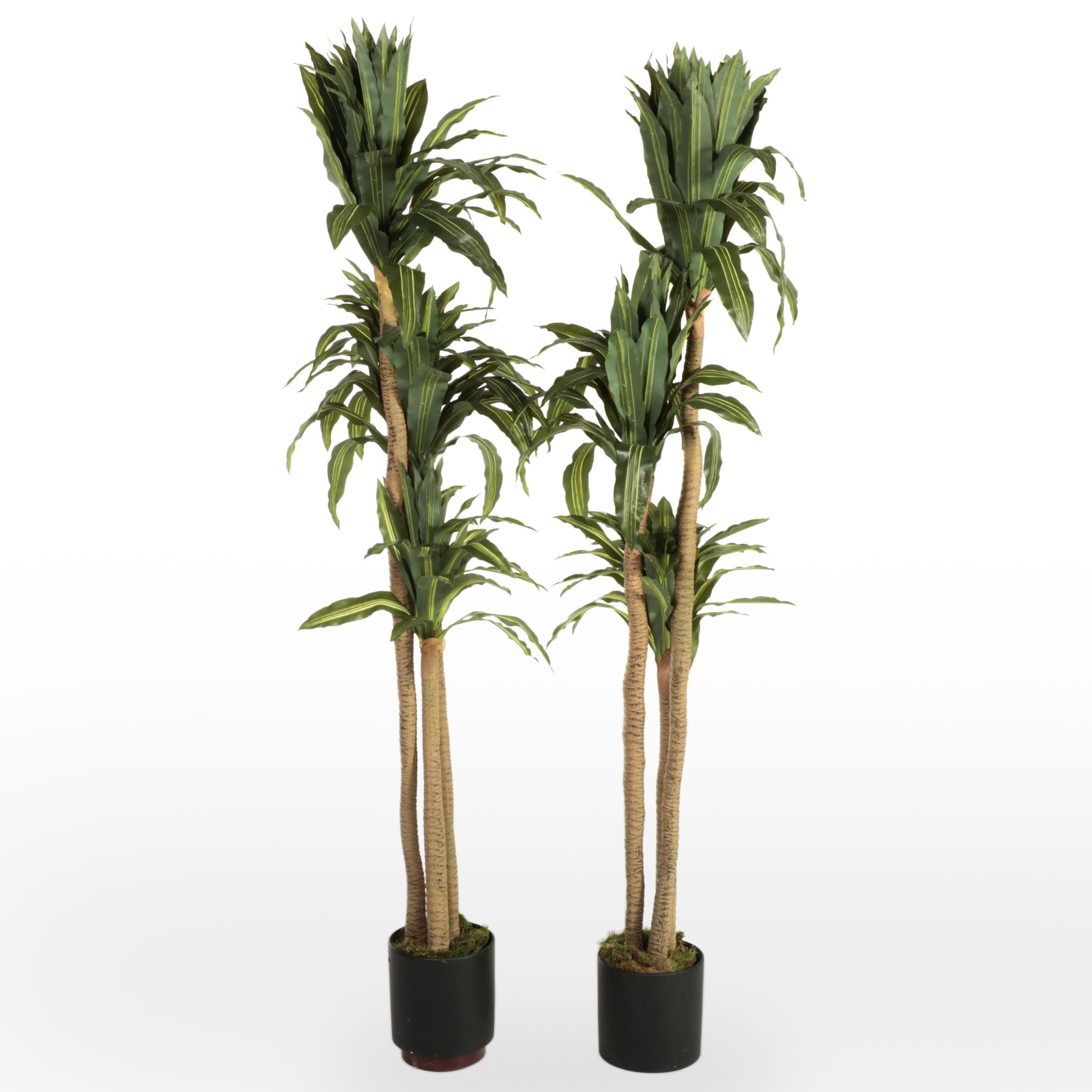 Artificial Corn Plants in Ceramic Planters