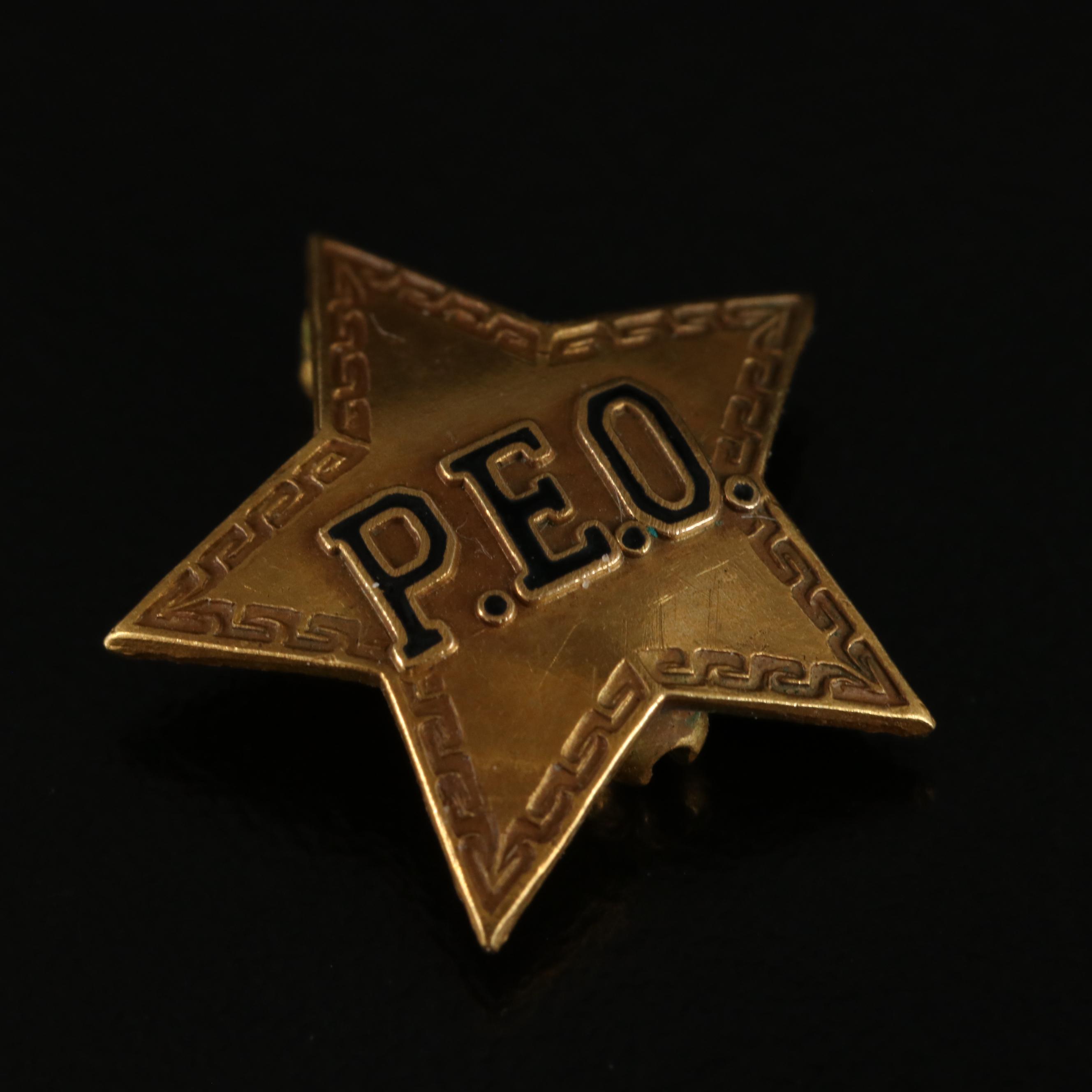 10K and 14K Service Pins Including Professional Employer Organization, Diamond