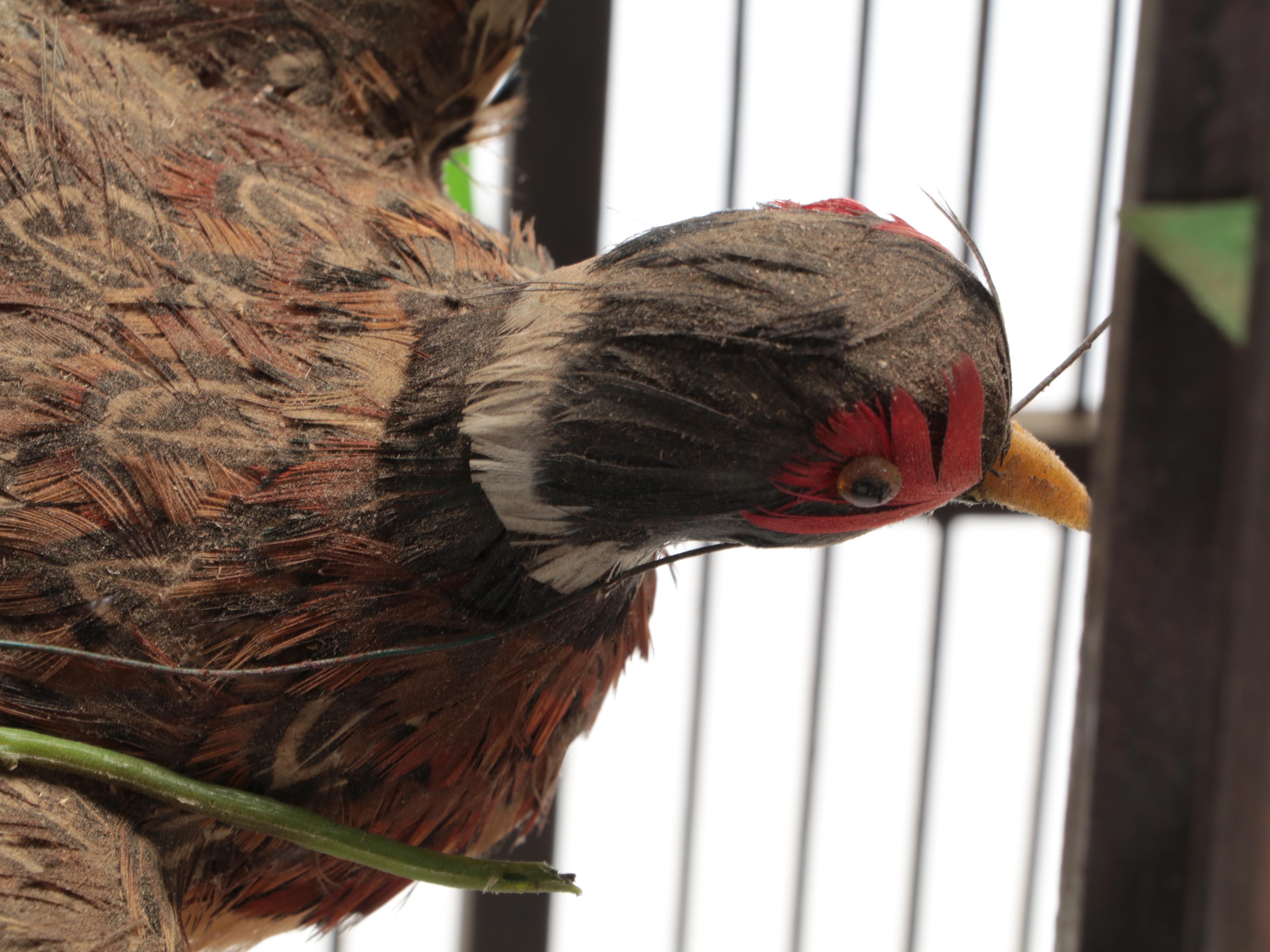 Victorian Style Decorative Wooden Bird Cage