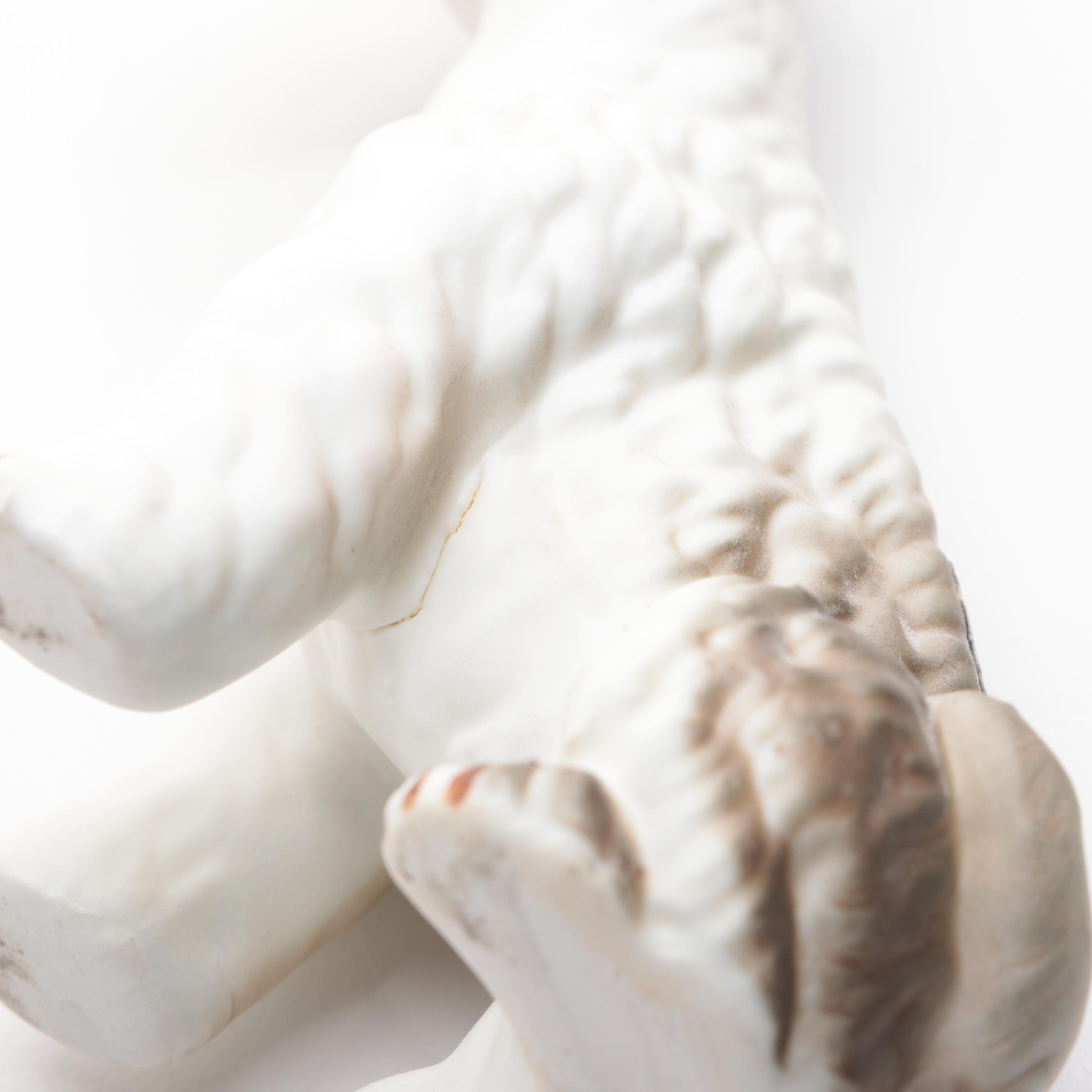 Hokutosha with Other Porcelain and Bone China Dog Figurines, Mid to Late 20th C.