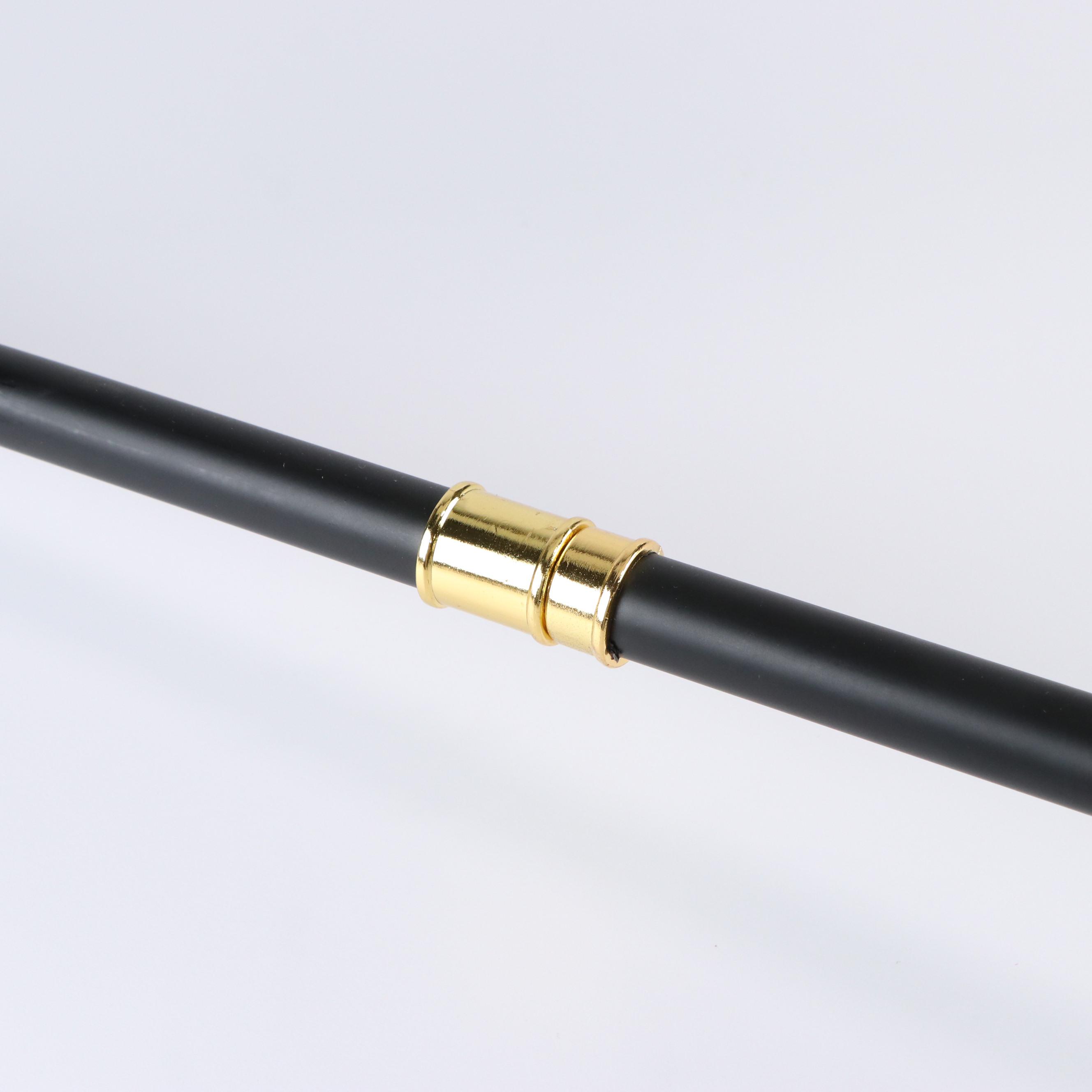 Masonic Steel and Gilt Walking Cane, Watch and Coin