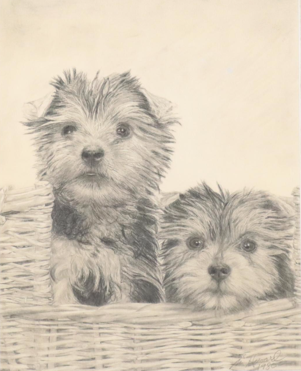 Graphite Drawing of Yorkie Puppies, 1980