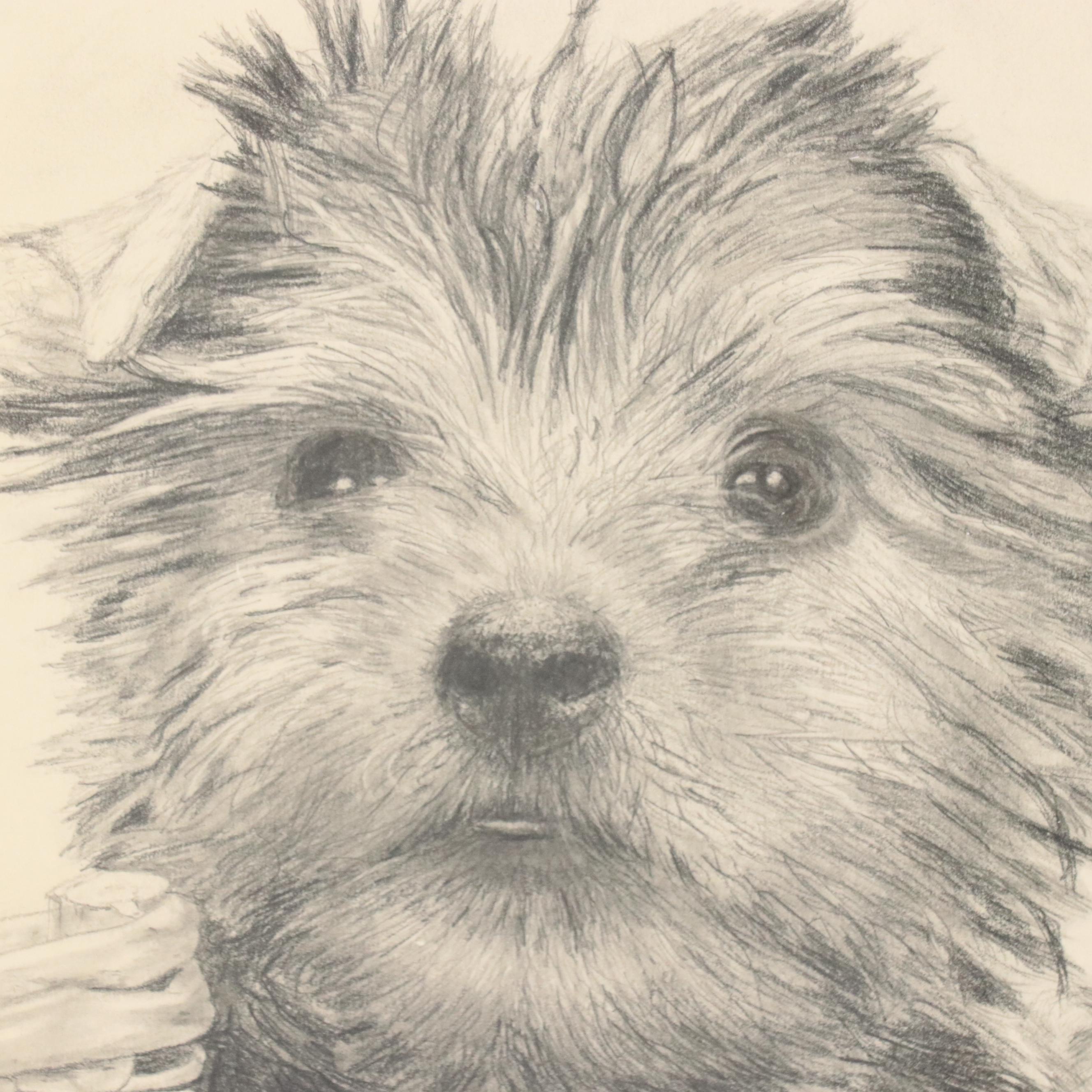 Graphite Drawing of Yorkie Puppies, 1980