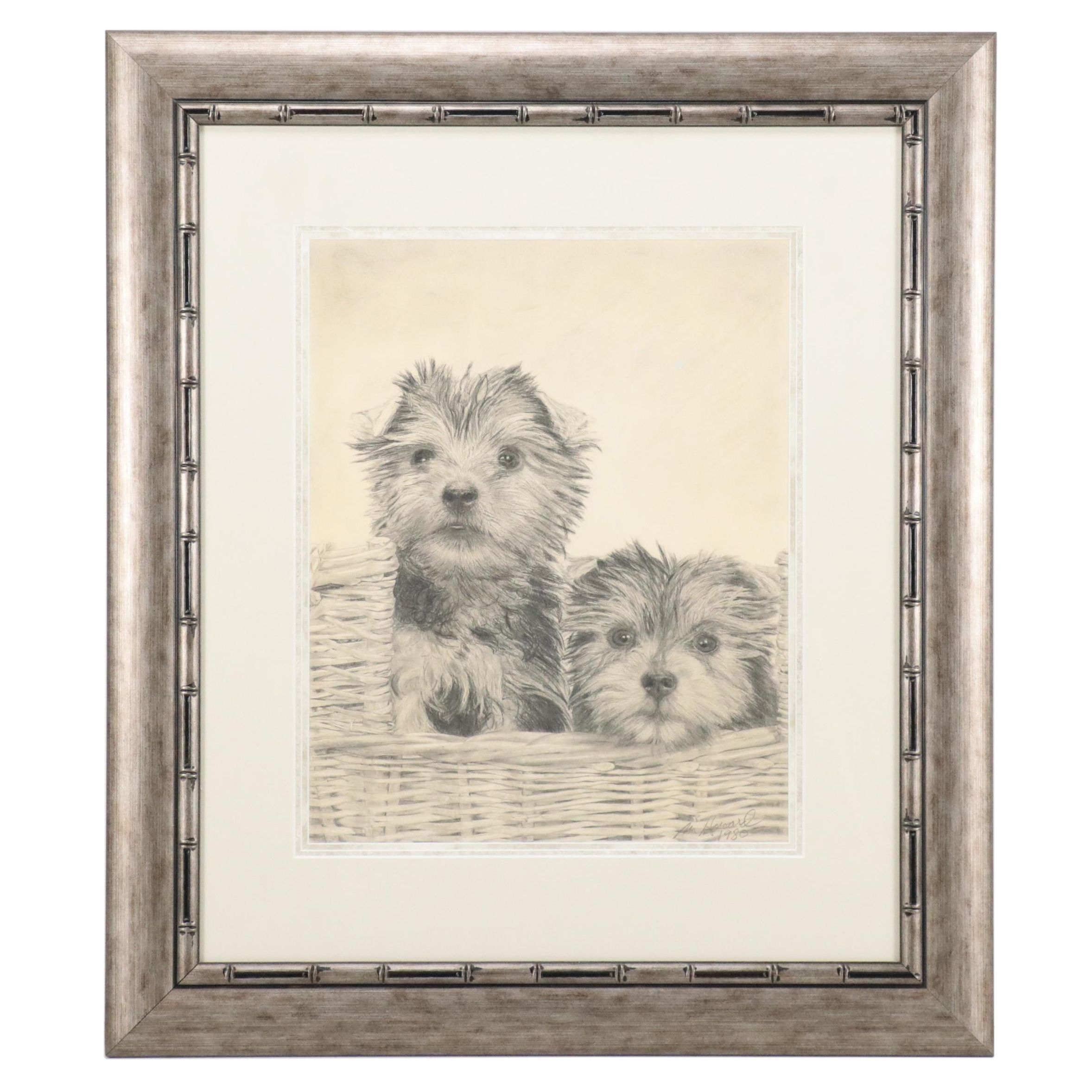 Graphite Drawing of Yorkie Puppies, 1980