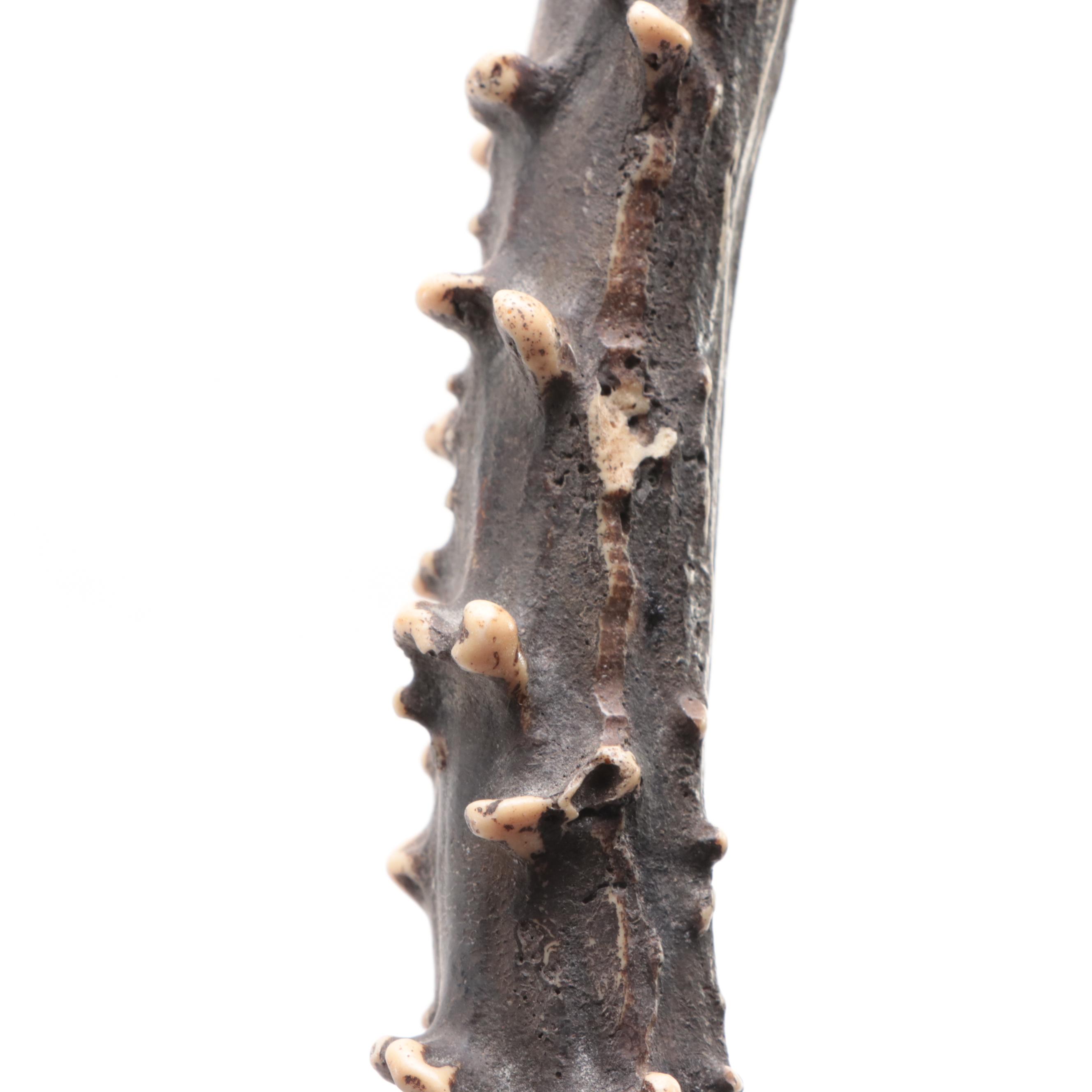 Fantasy Sword Letter Opener, Heraldic Shield Plaque, Medals, and More