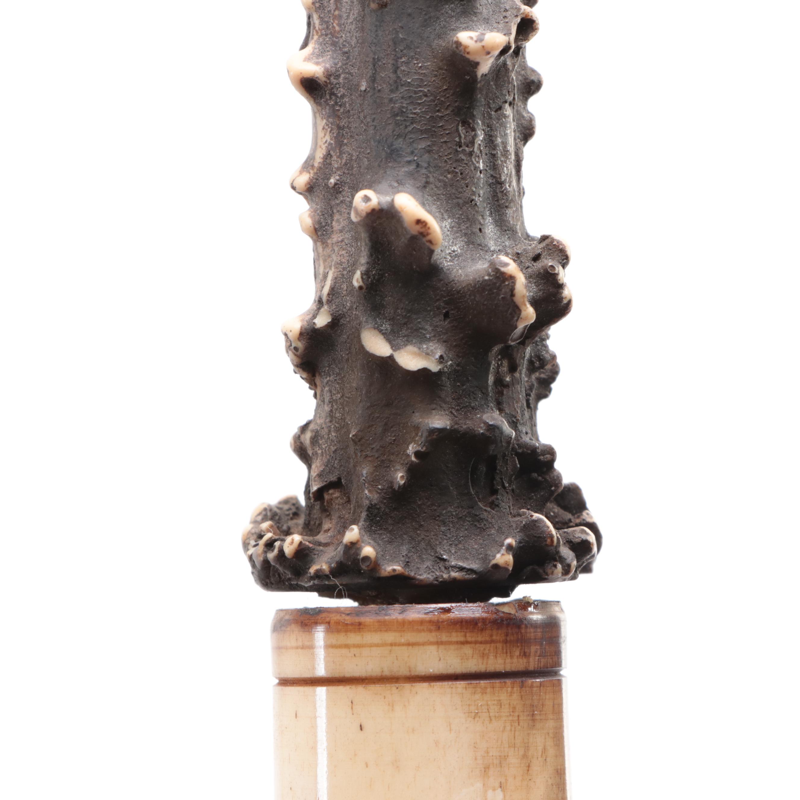 Fantasy Sword Letter Opener, Heraldic Shield Plaque, Medals, and More